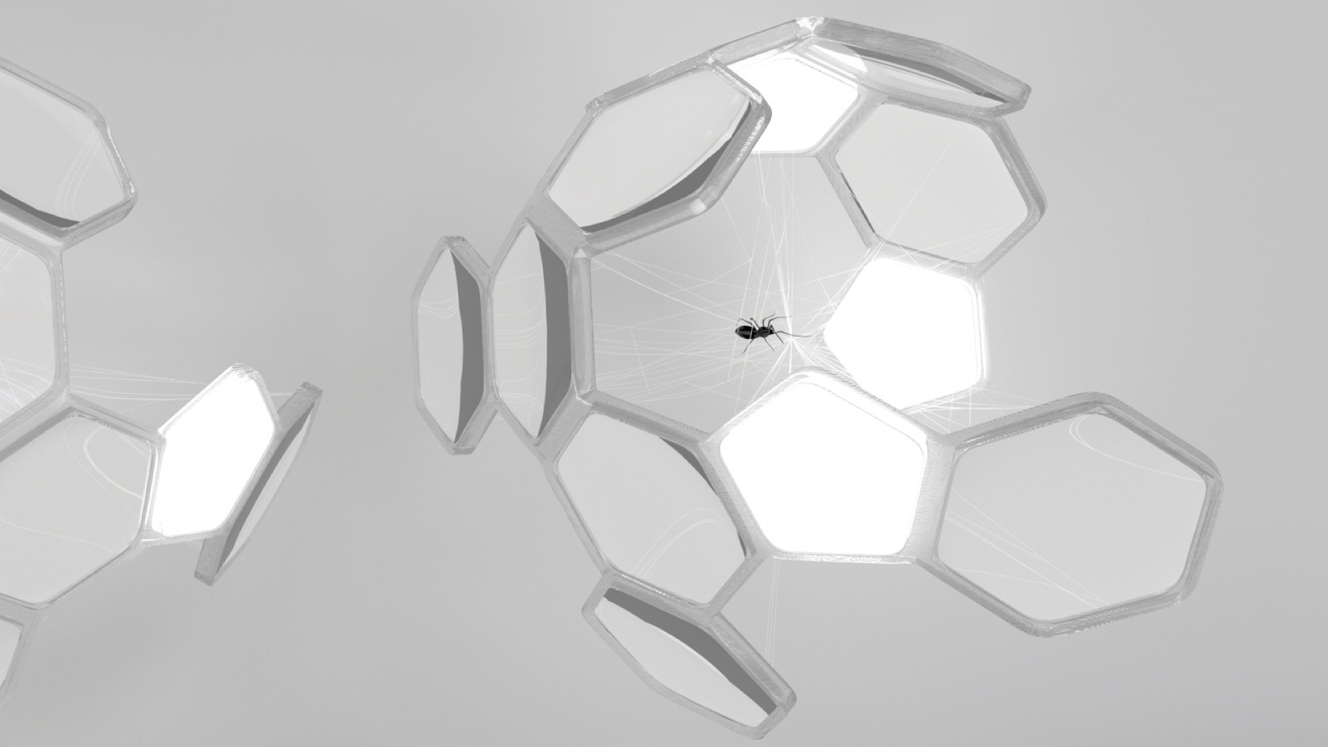 Spider biosphere.001.jpg