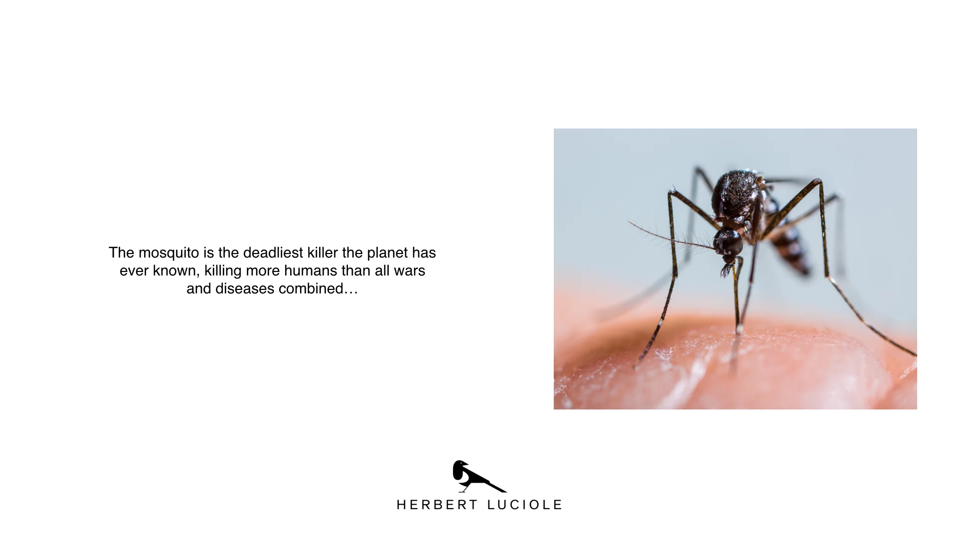 Spider biosphere Explained.002.jpeg