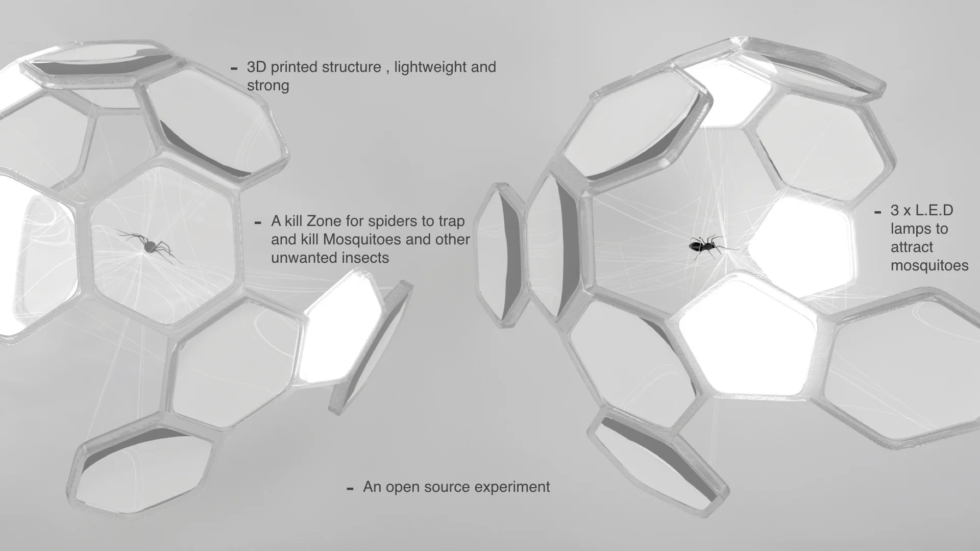 Spider biosphere Explained.009.jpeg