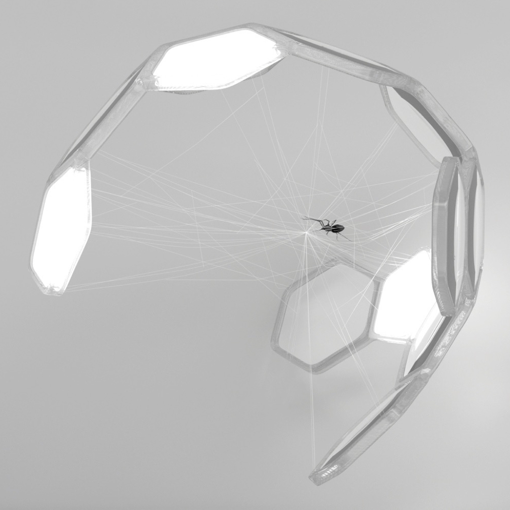 Spider Biosphere