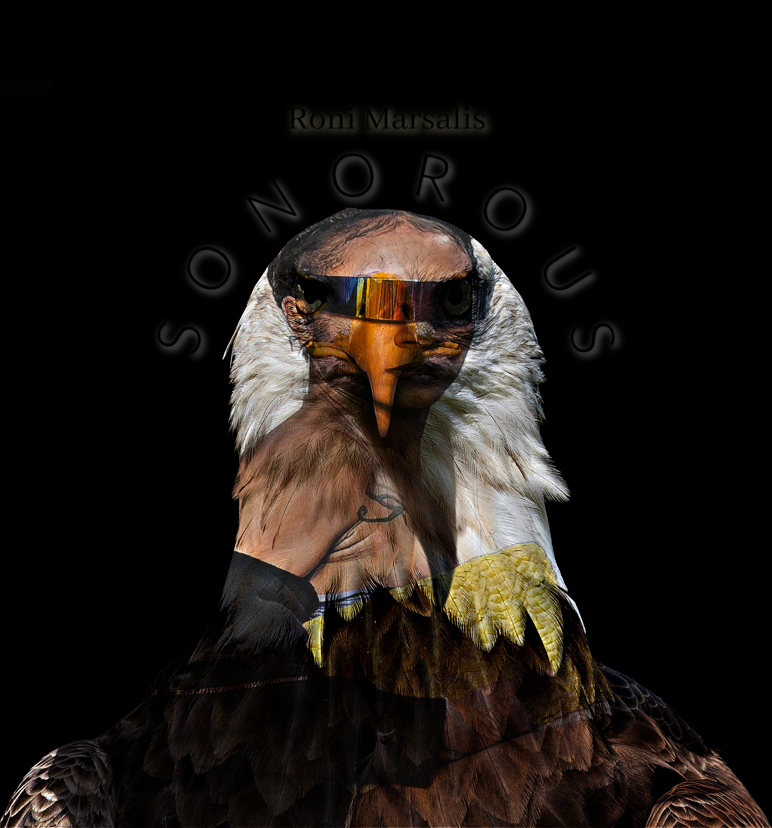 SONOROUS ARTWORK.png