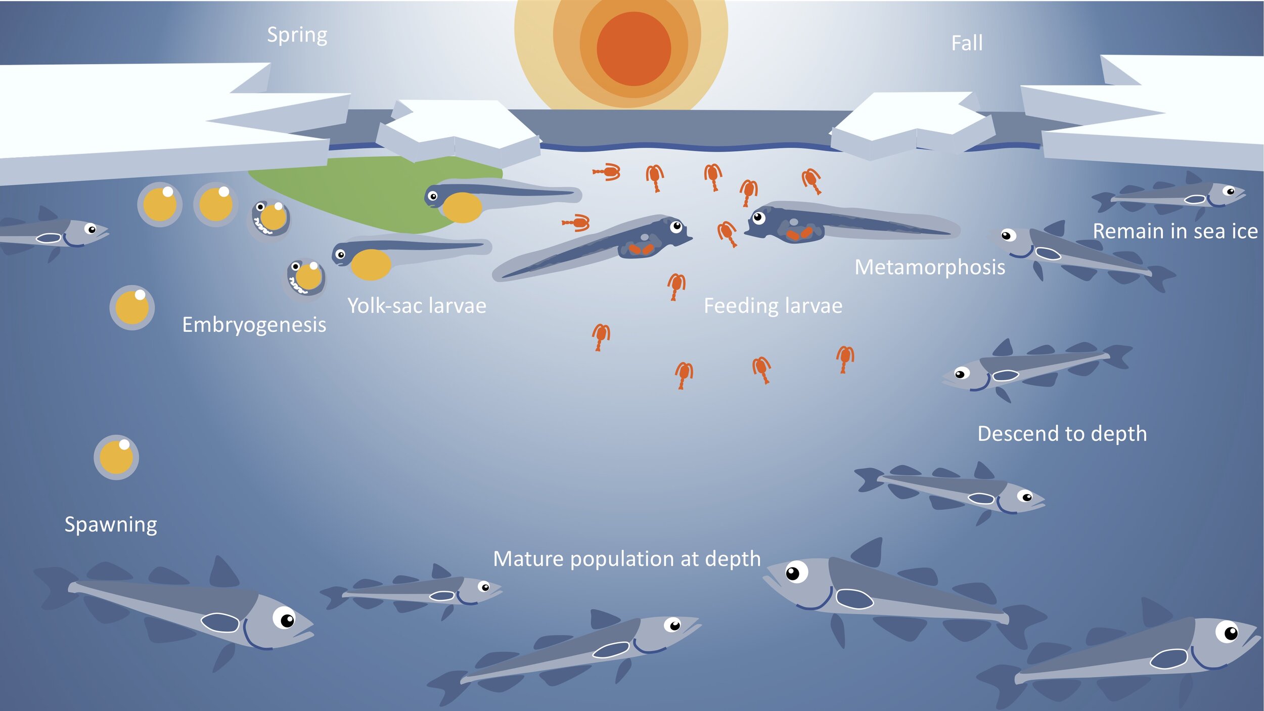 Morgan Bender — Sens 2 Change