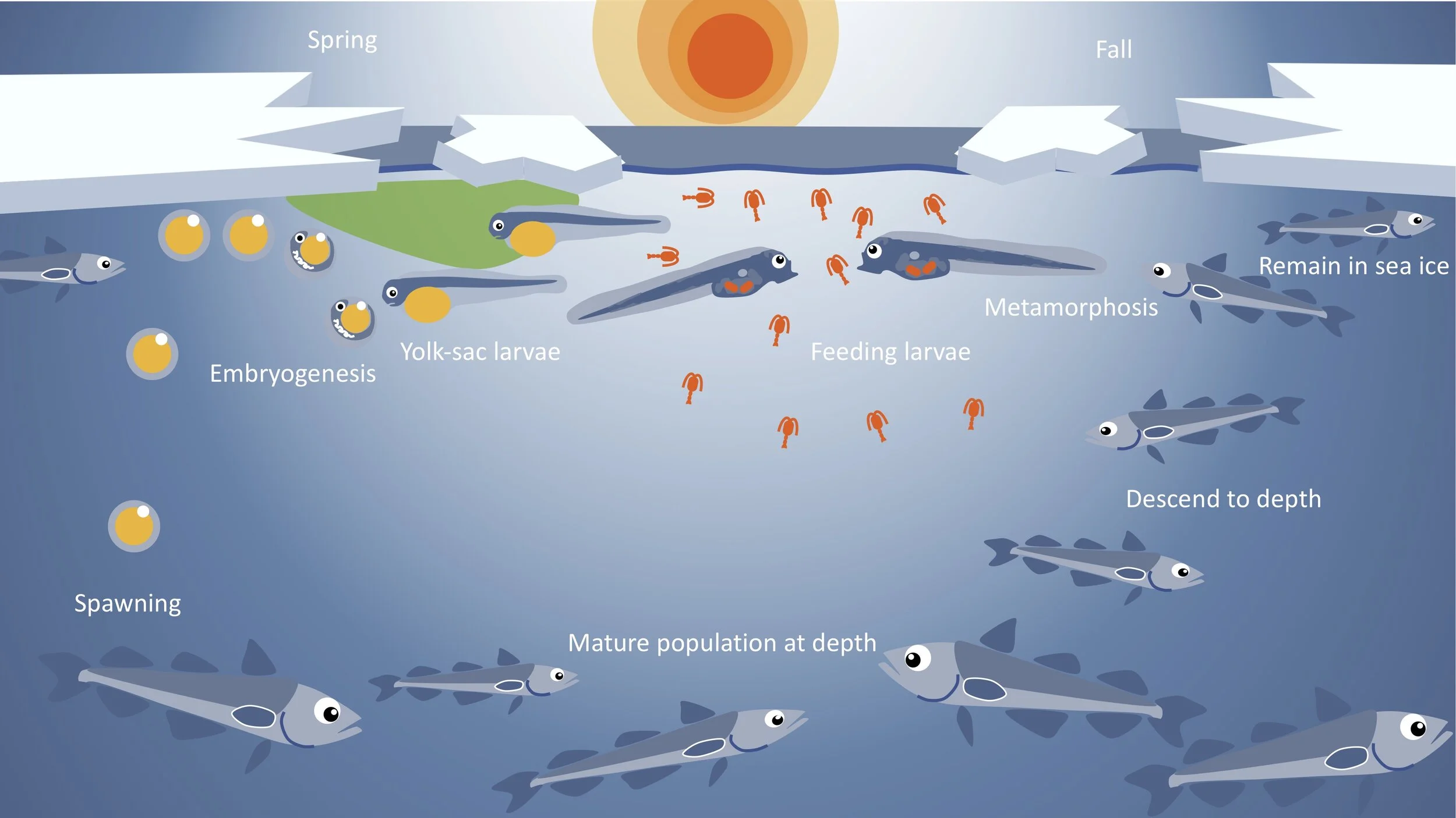 Morgan Bender — Sens 2 Change