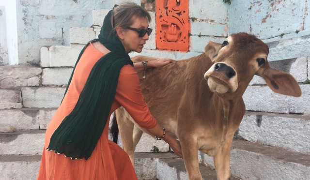 TTouch "Lecken-der- Kuhzunge" bei einer Strassenkuh ...( Varanasi, Indien )