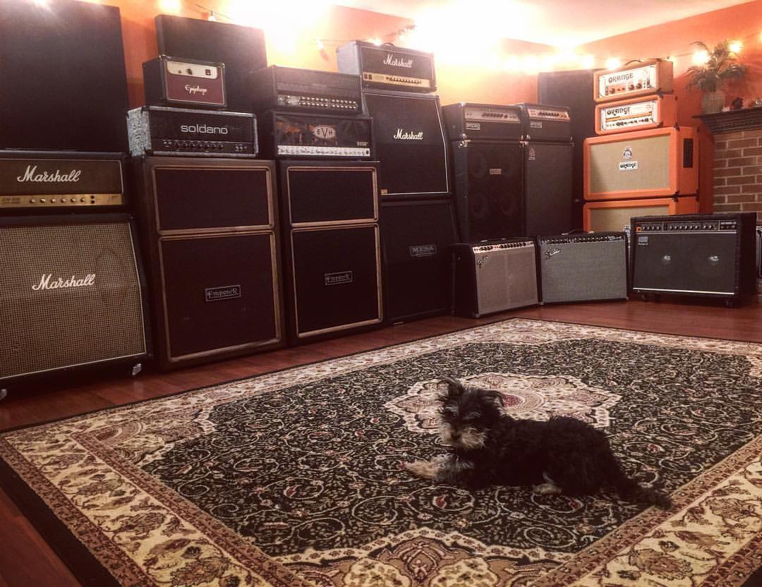 Assistant Engineer, Kiwi