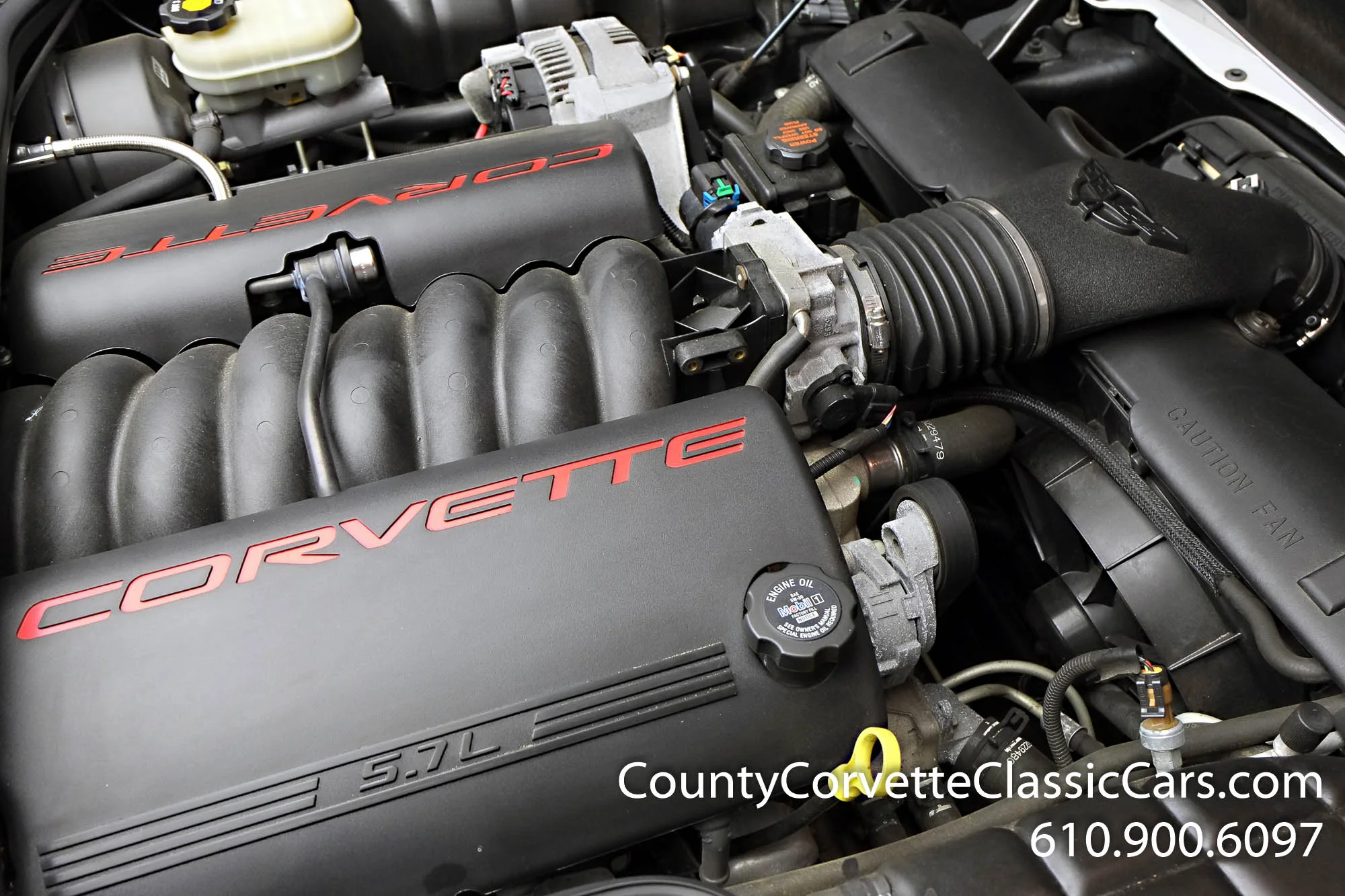 2002-Corvette-Coupe-16.jpg