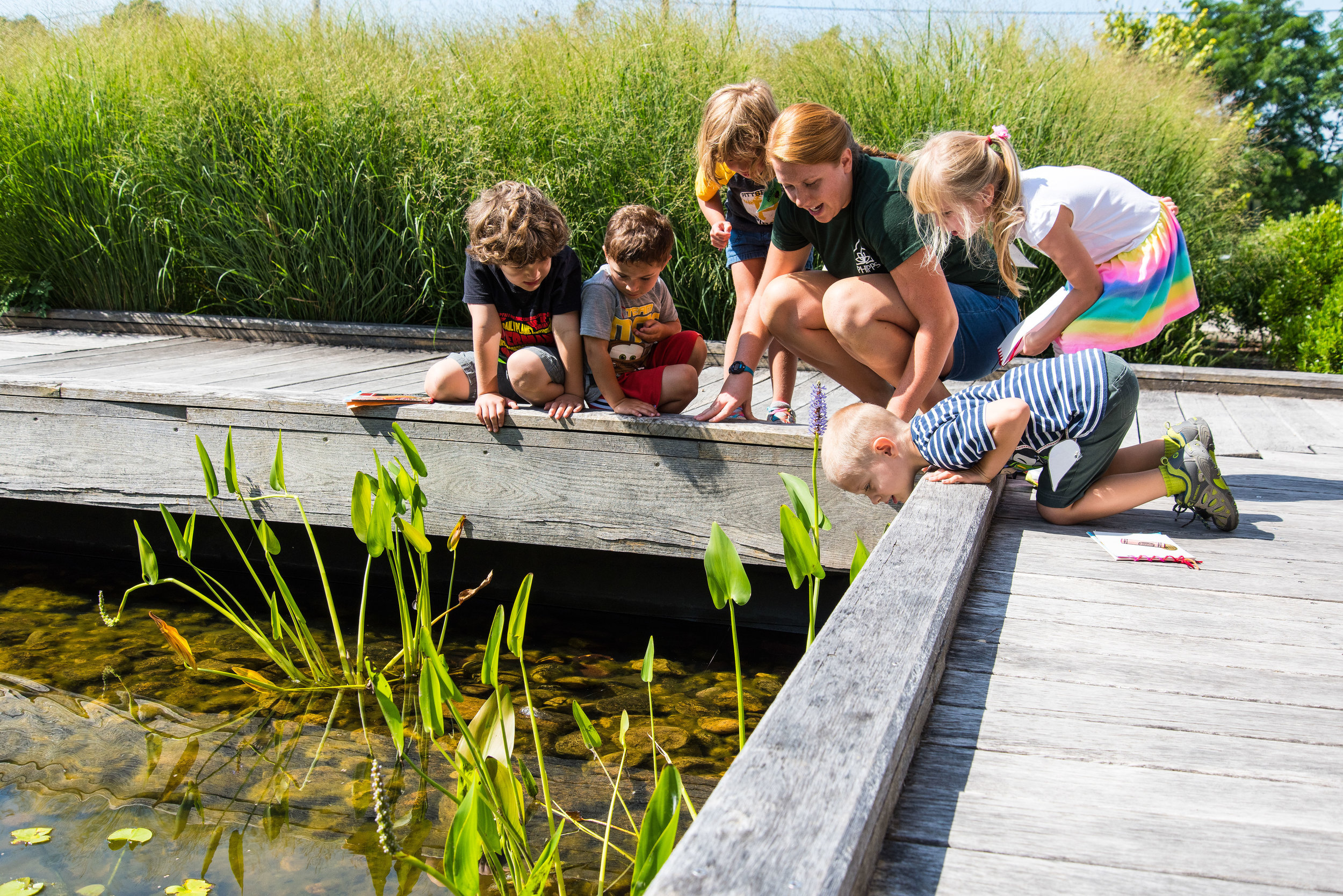 Young guests learn about native wildlife at Phipps' center for sustainable landscapes, photo by Paul g. wiegman