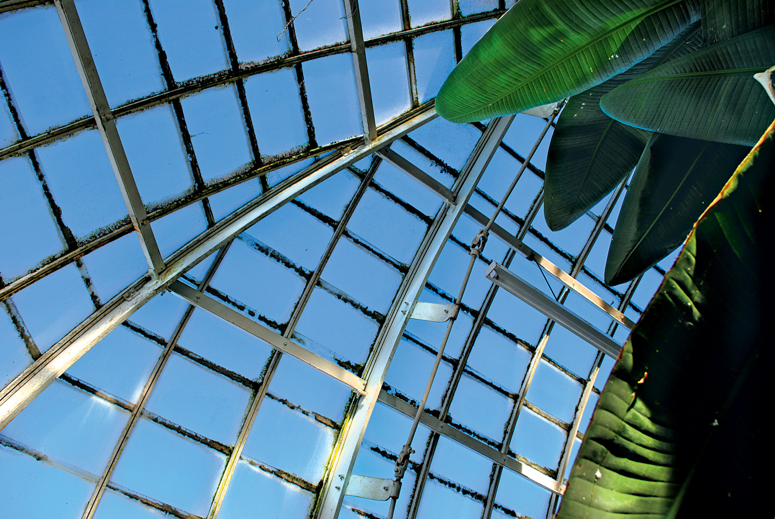 The Greenhouse at The Frick Pittsburgh (interior)