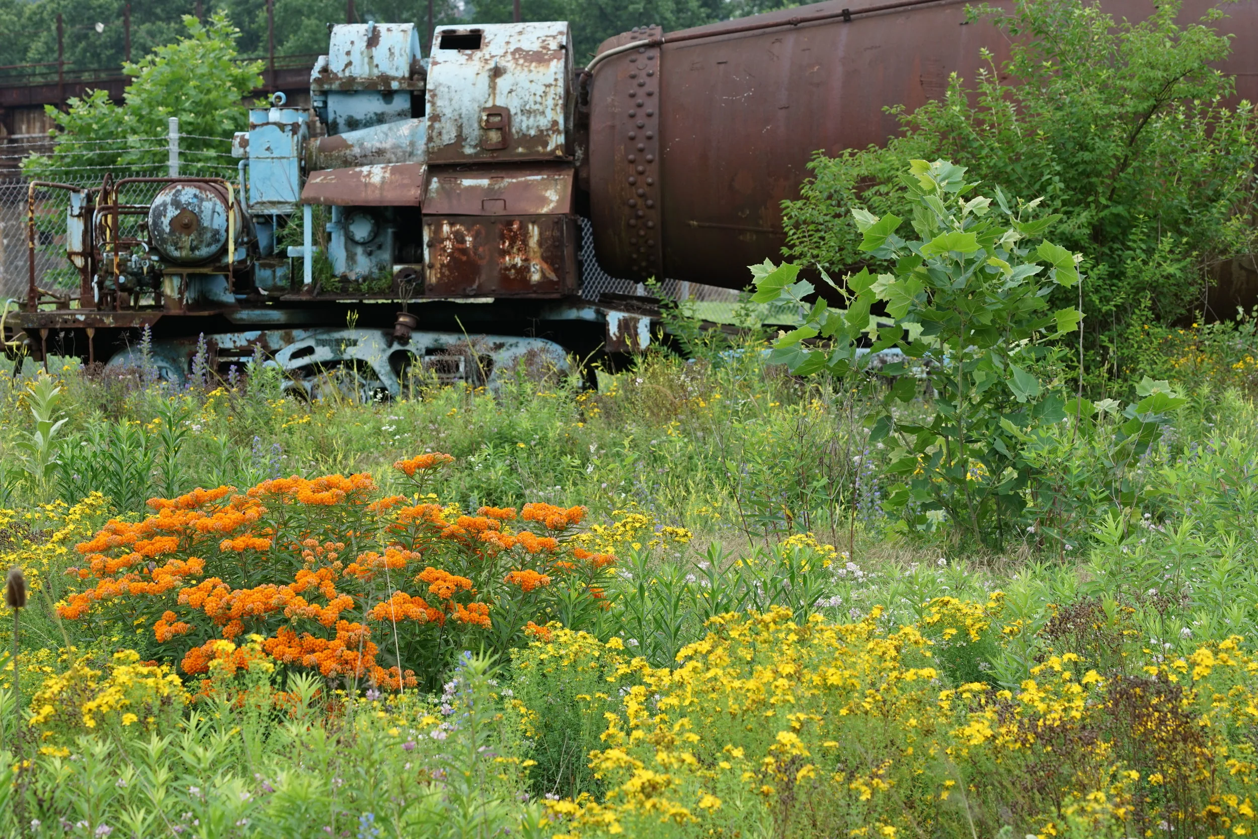 Center for Sustainable Landscapes_CREDIT Denmarsh Photography, Inc..jpg
