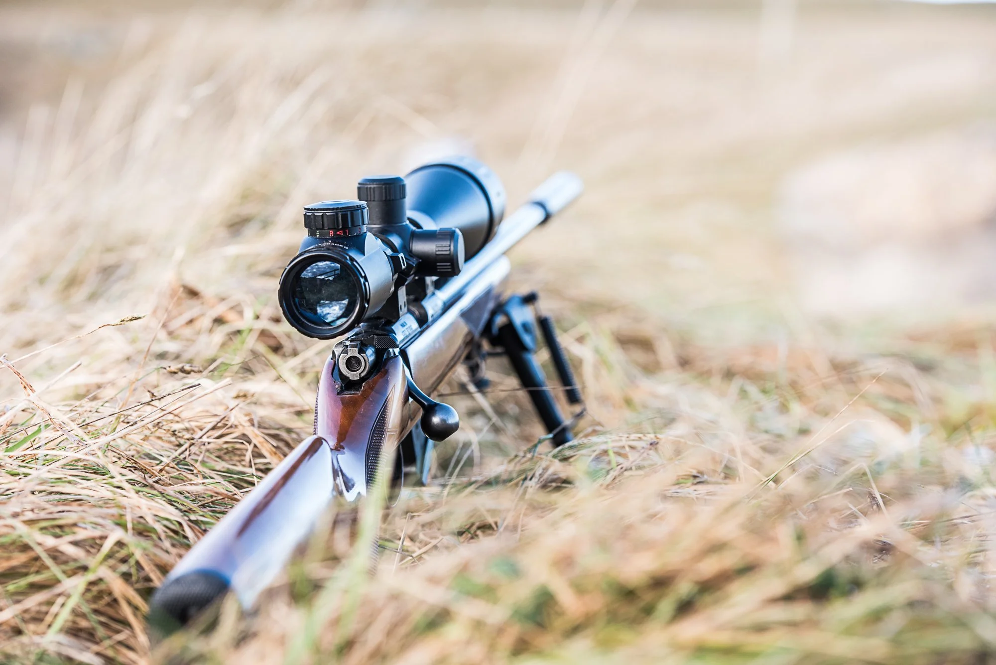 rifle-grass.jpg