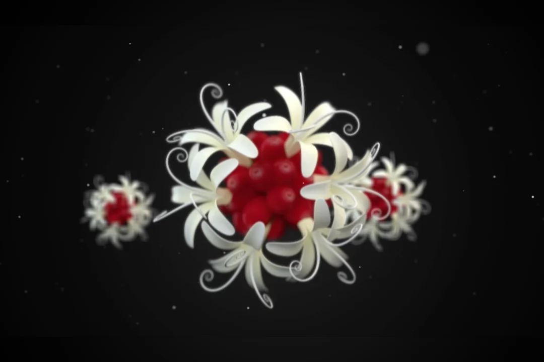 ShowReel Motion Design