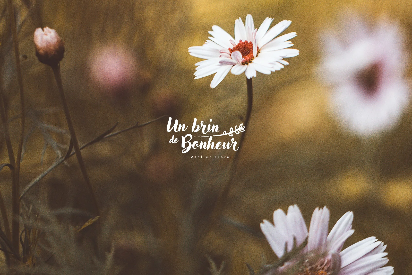 Un brin de bonheur - logo