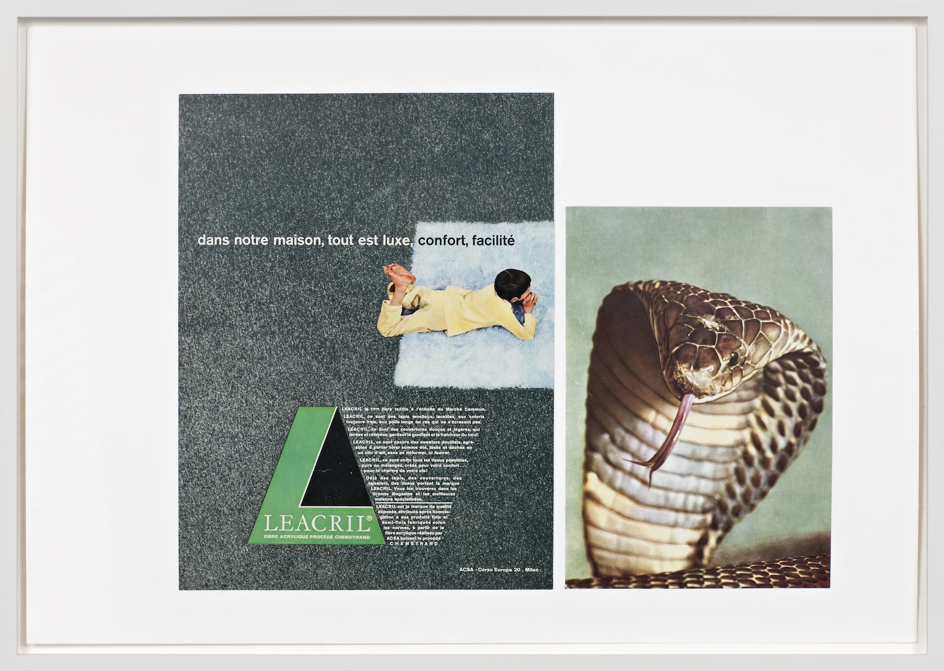   Baby Snakes Hatching. Ruins. Ruins. (dans notre maison)  2011  Collage, 35,5 x 51cm 
