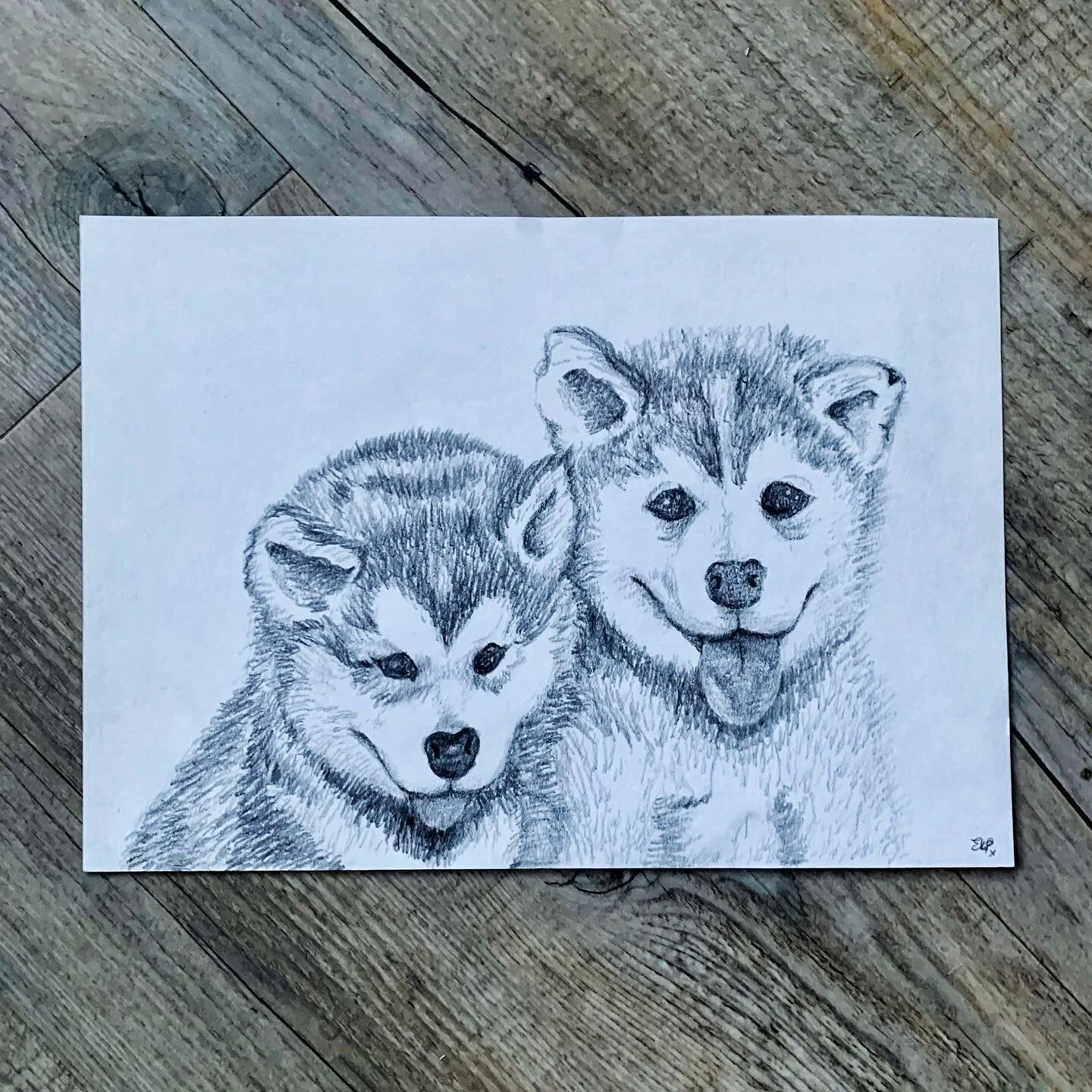 Some little huskies for little Isla