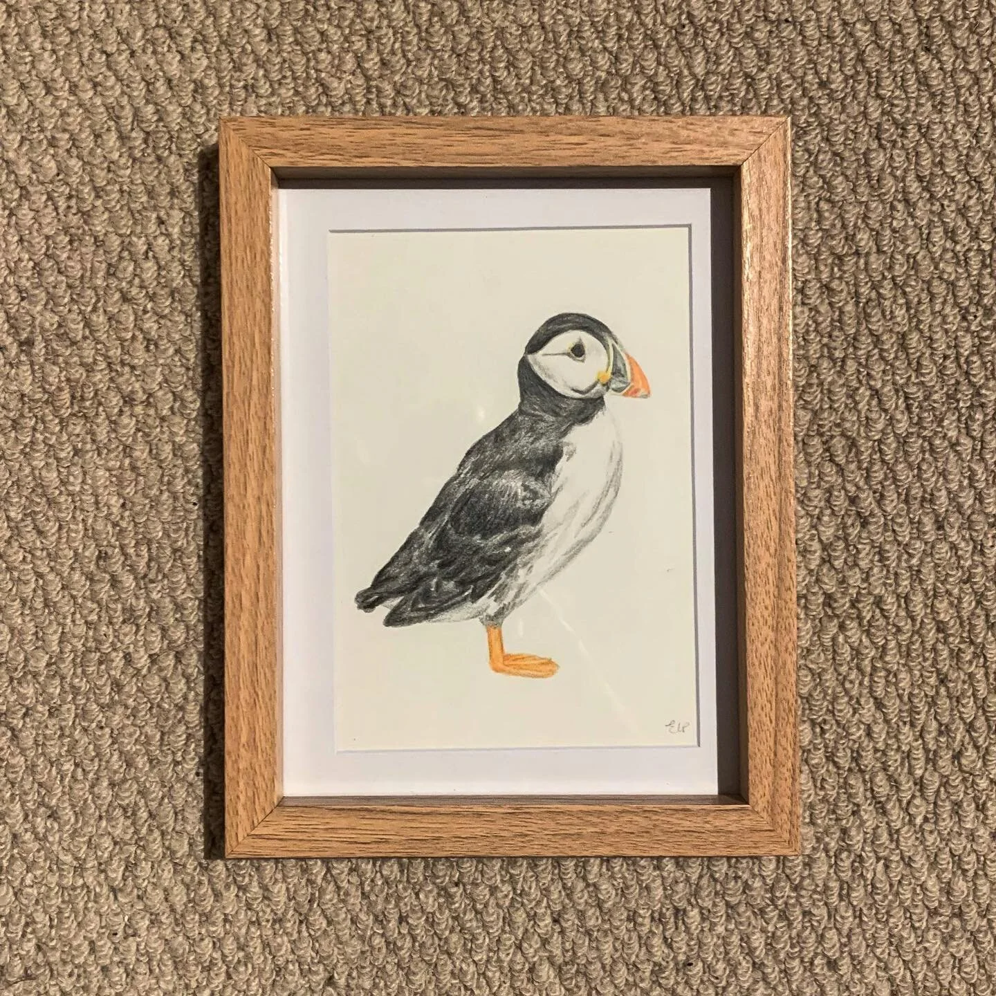 Perry the Puffin, a birthday present for my Dad