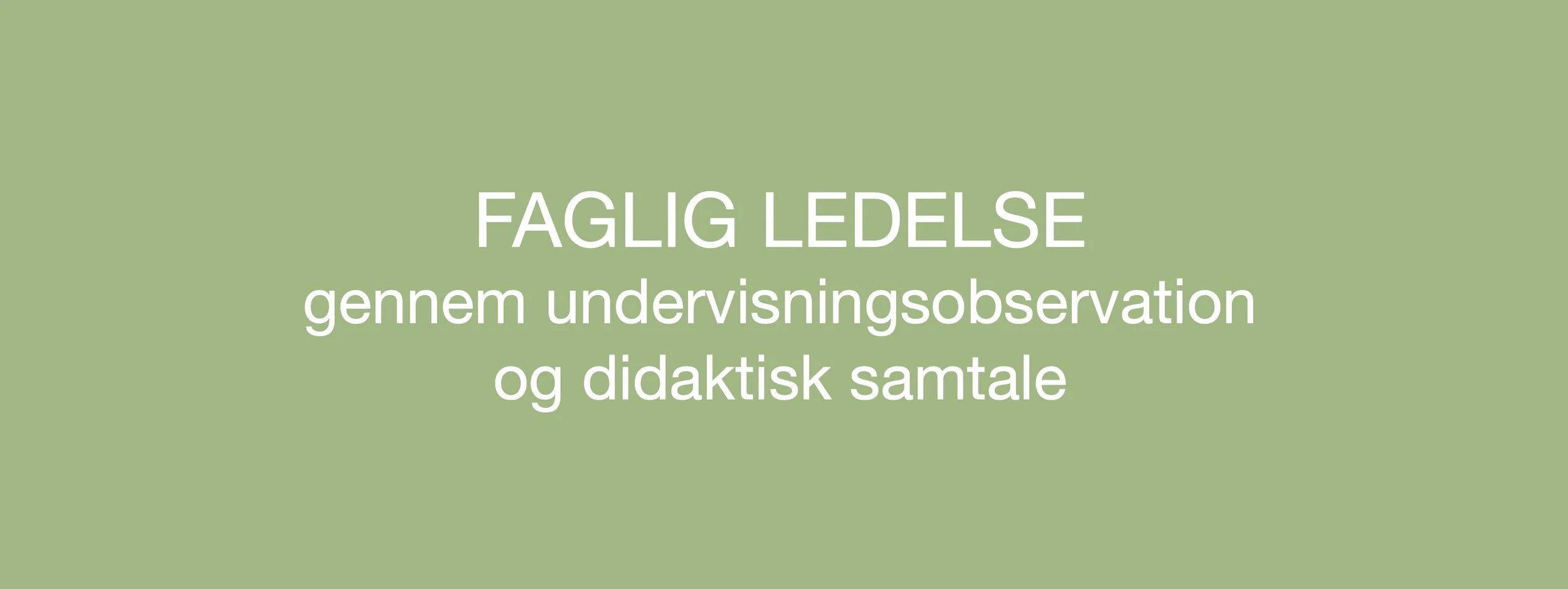 Faglig ledelse gennem undervisningsobservation og didaktisk samtale