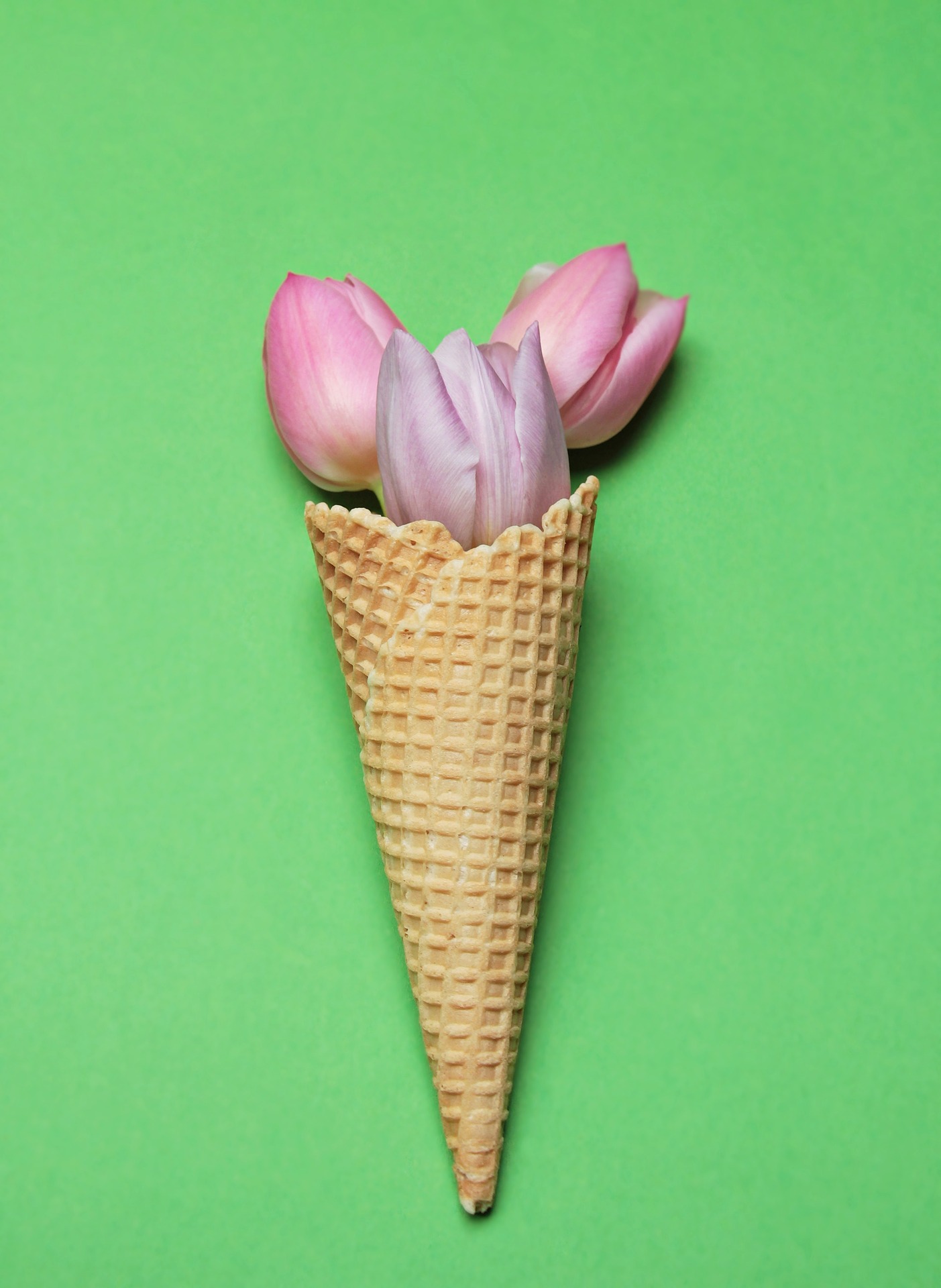 tulips-2148628_1920.jpg