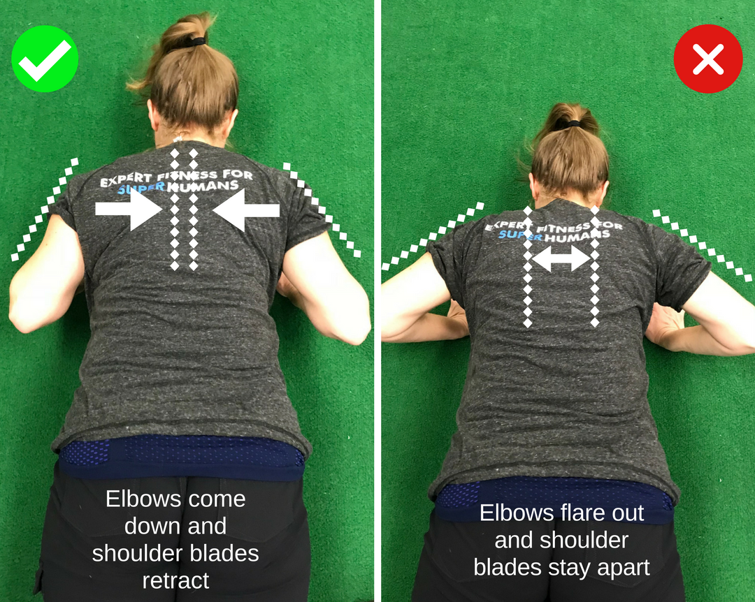 Push-Up-Position.jpg