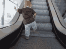 escalator.gif