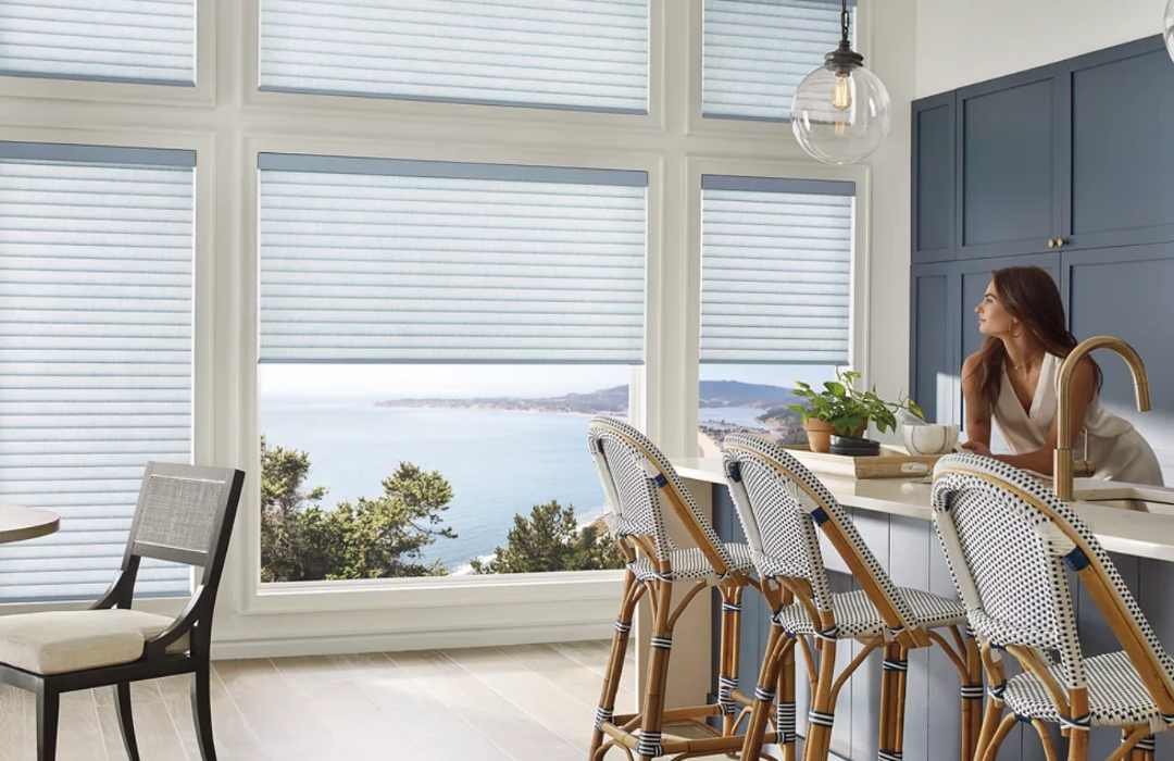 Blinds &amp; Shades