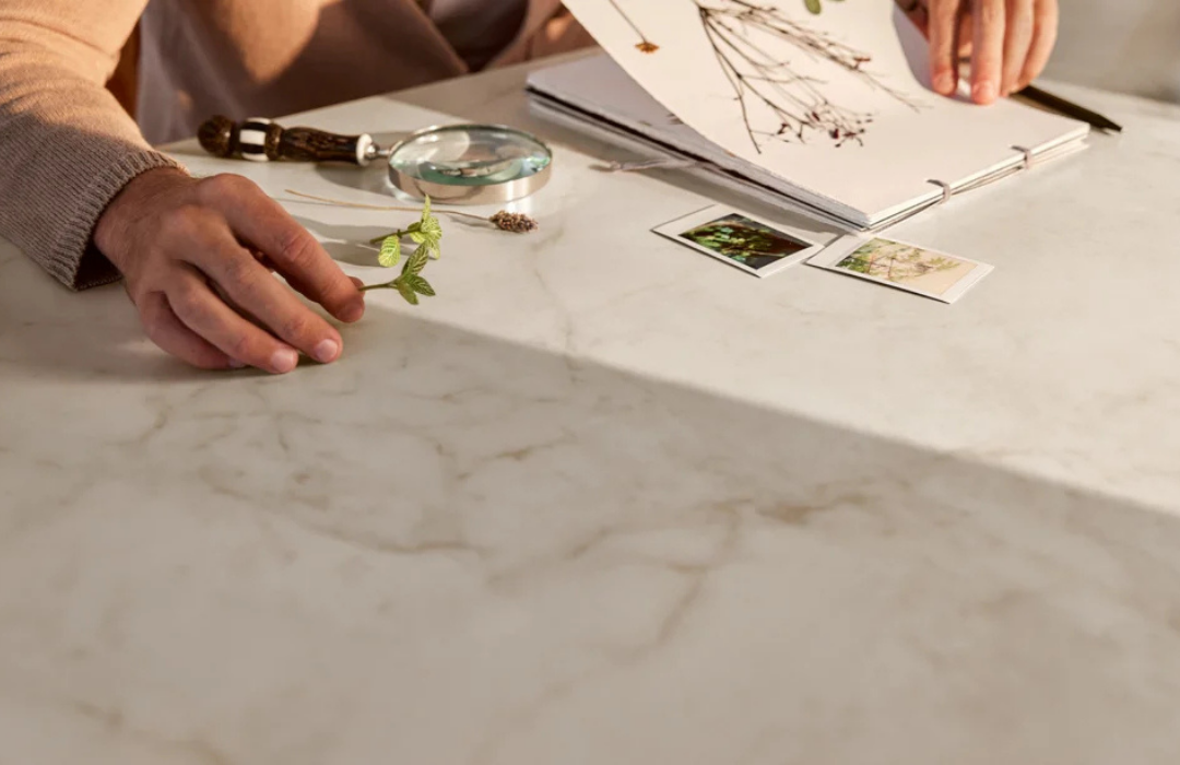 Close-up of hands with a magnifying glass and pressed botanicals on a recycled-content quartz countertop with soft veining