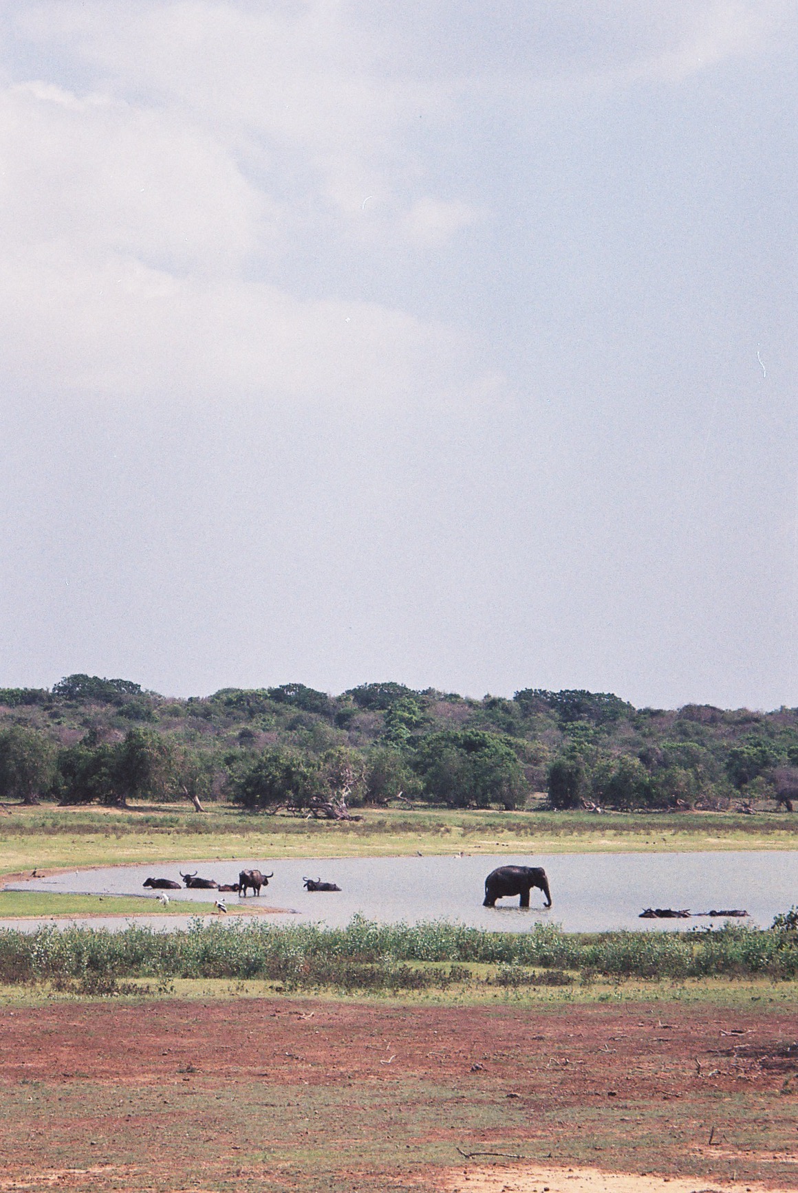 FullSizeRender 9.jpg