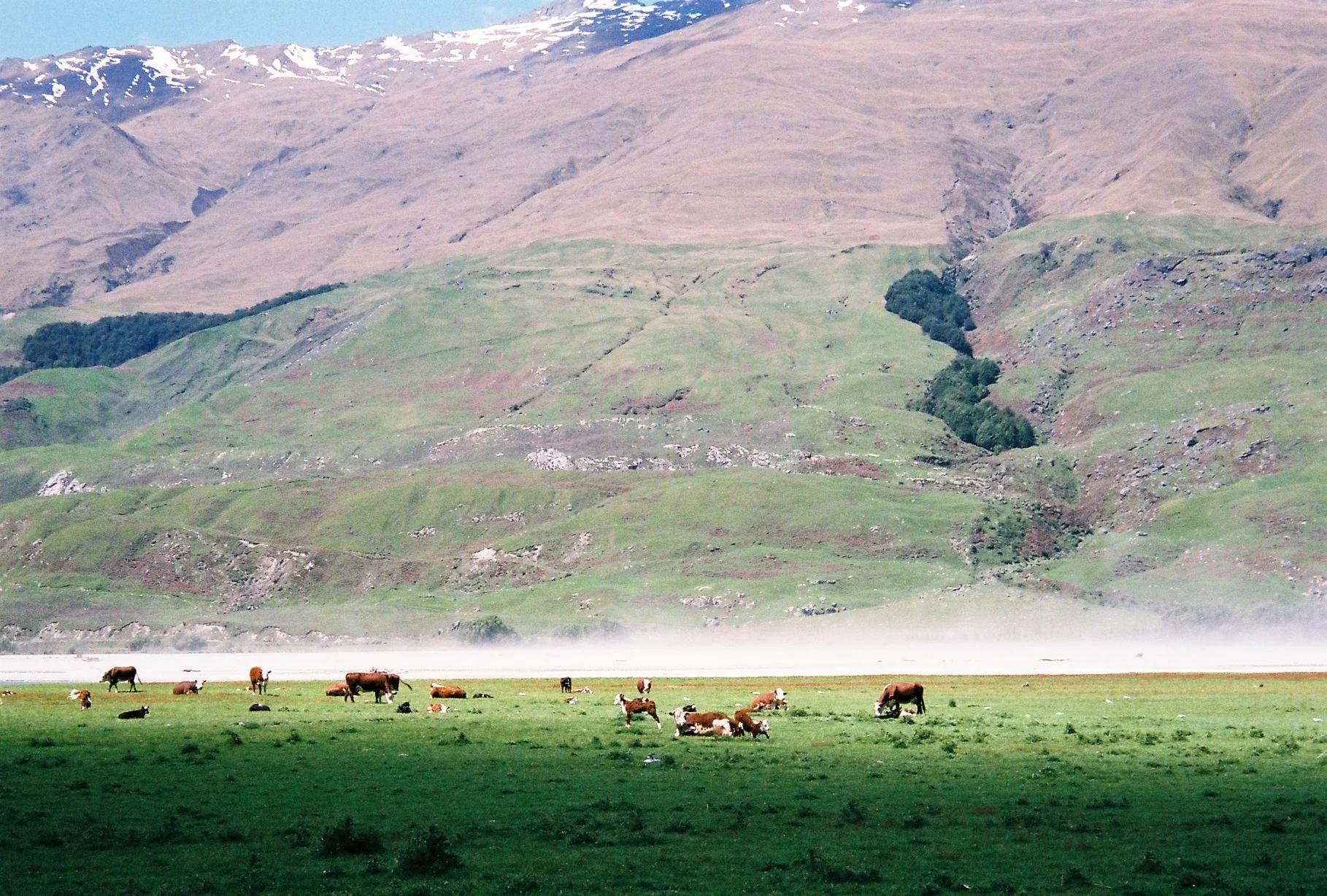 FullSizeRender 18.jpg