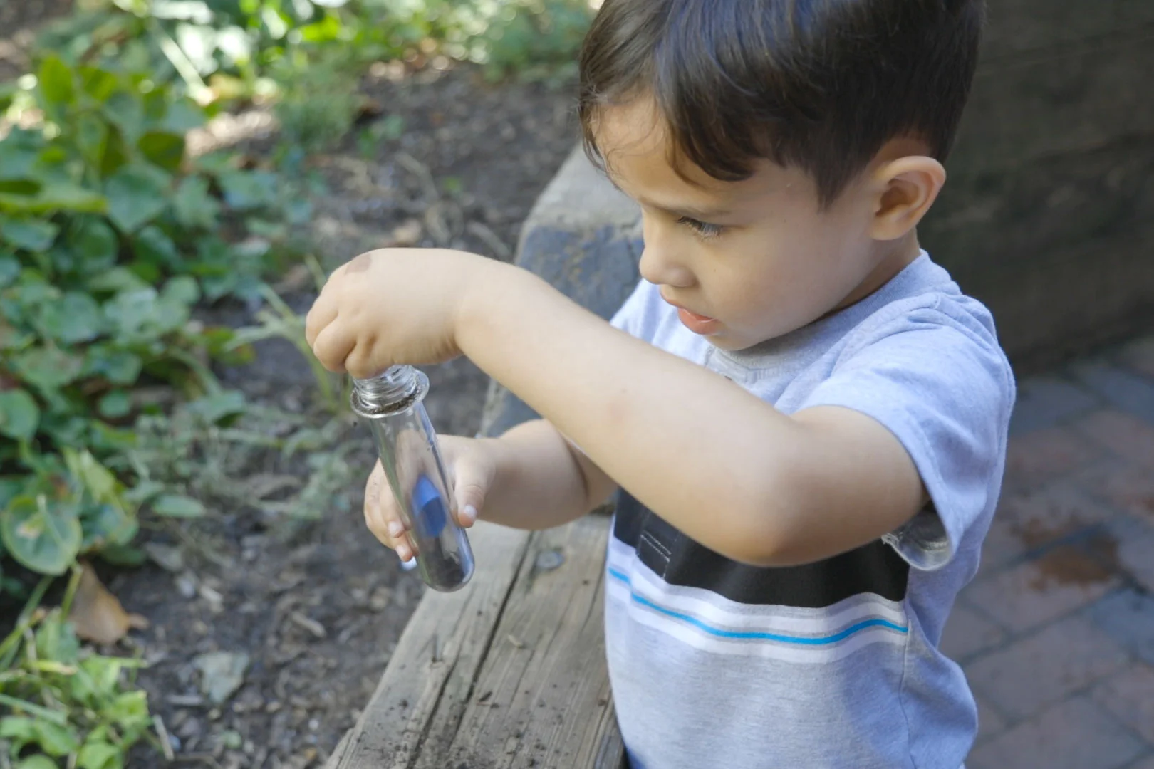 Beansprouts Preschool Garden.jpg