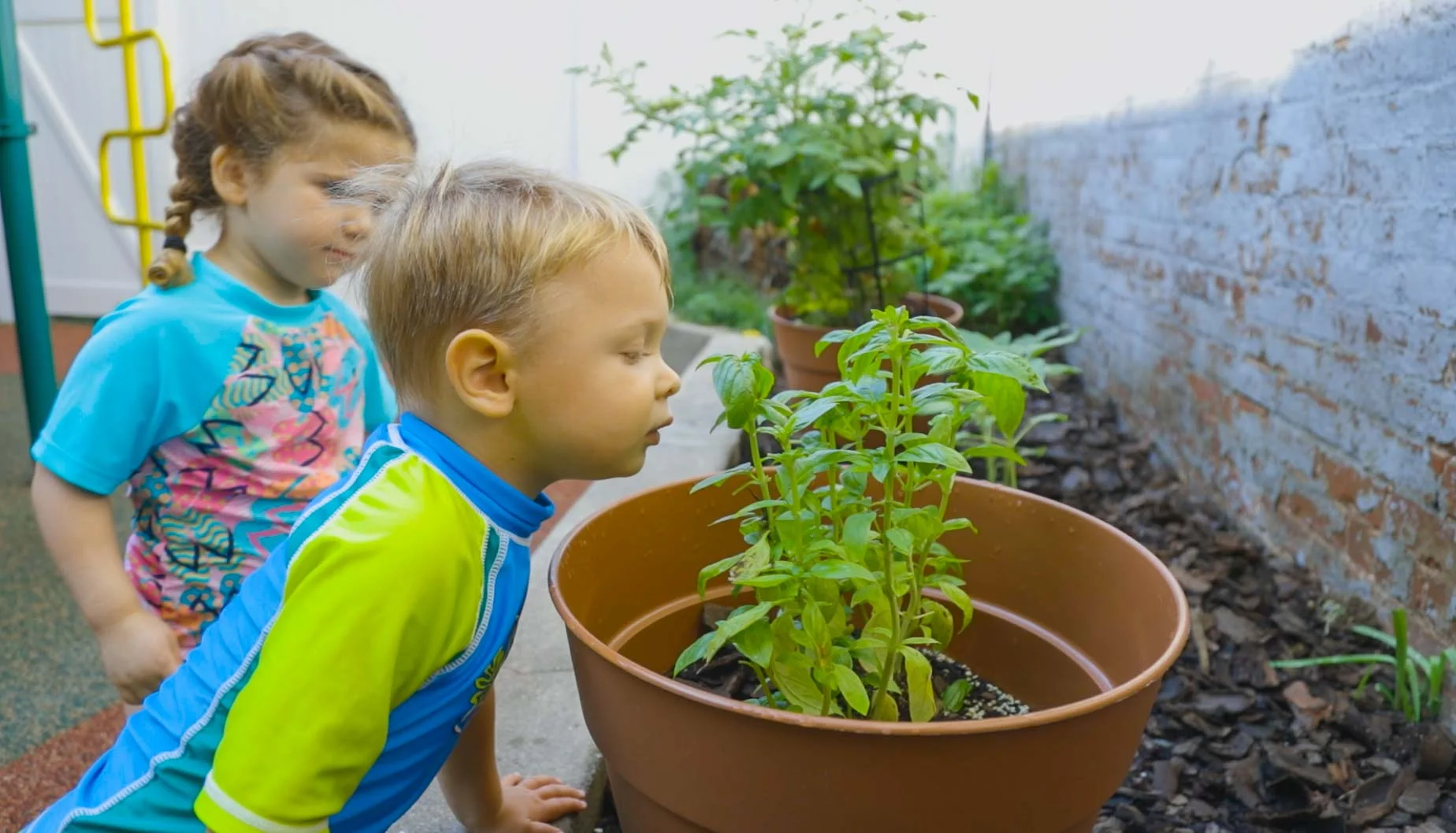 gardensmell01.jpg
