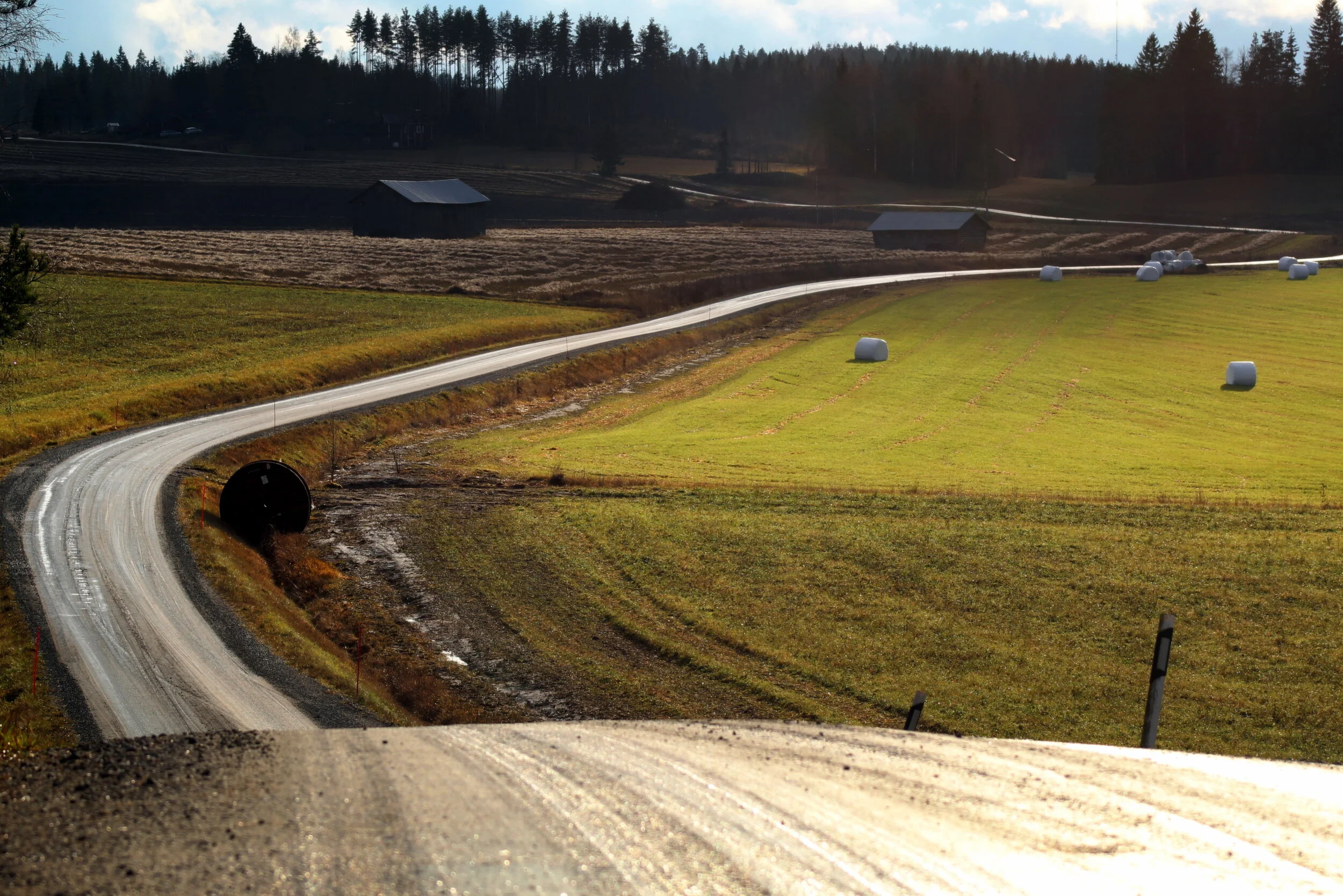 Service of the Lord's Day | May 10, 2020