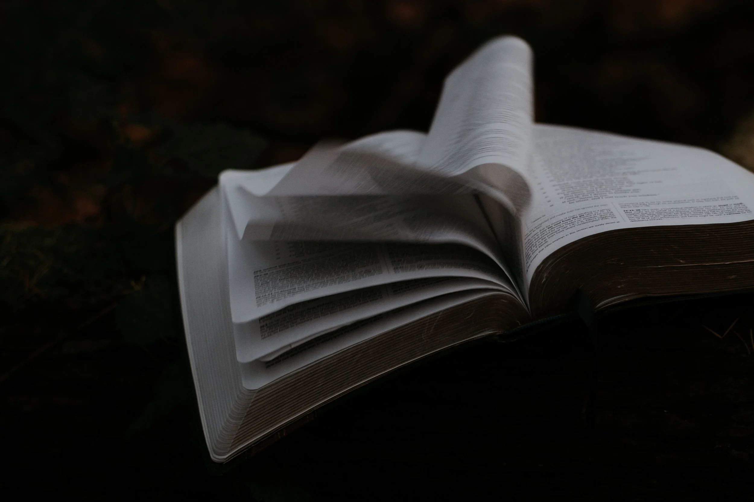 Service of the Lord's Day | May 17, 2020