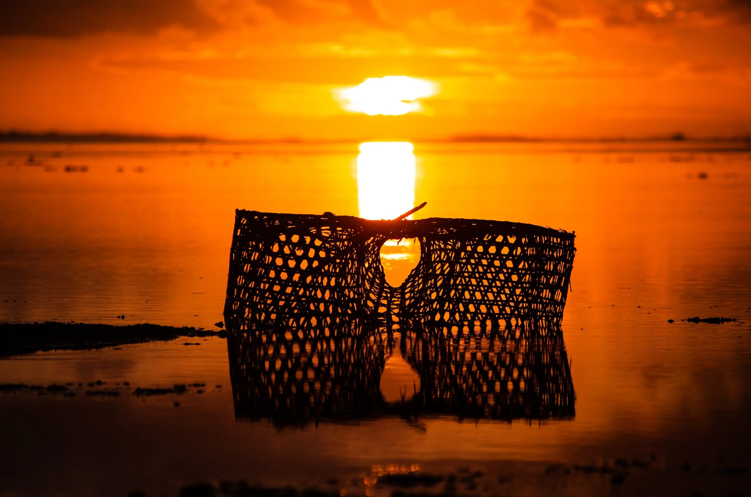 Service of the Lord's Day | January 24, 2021