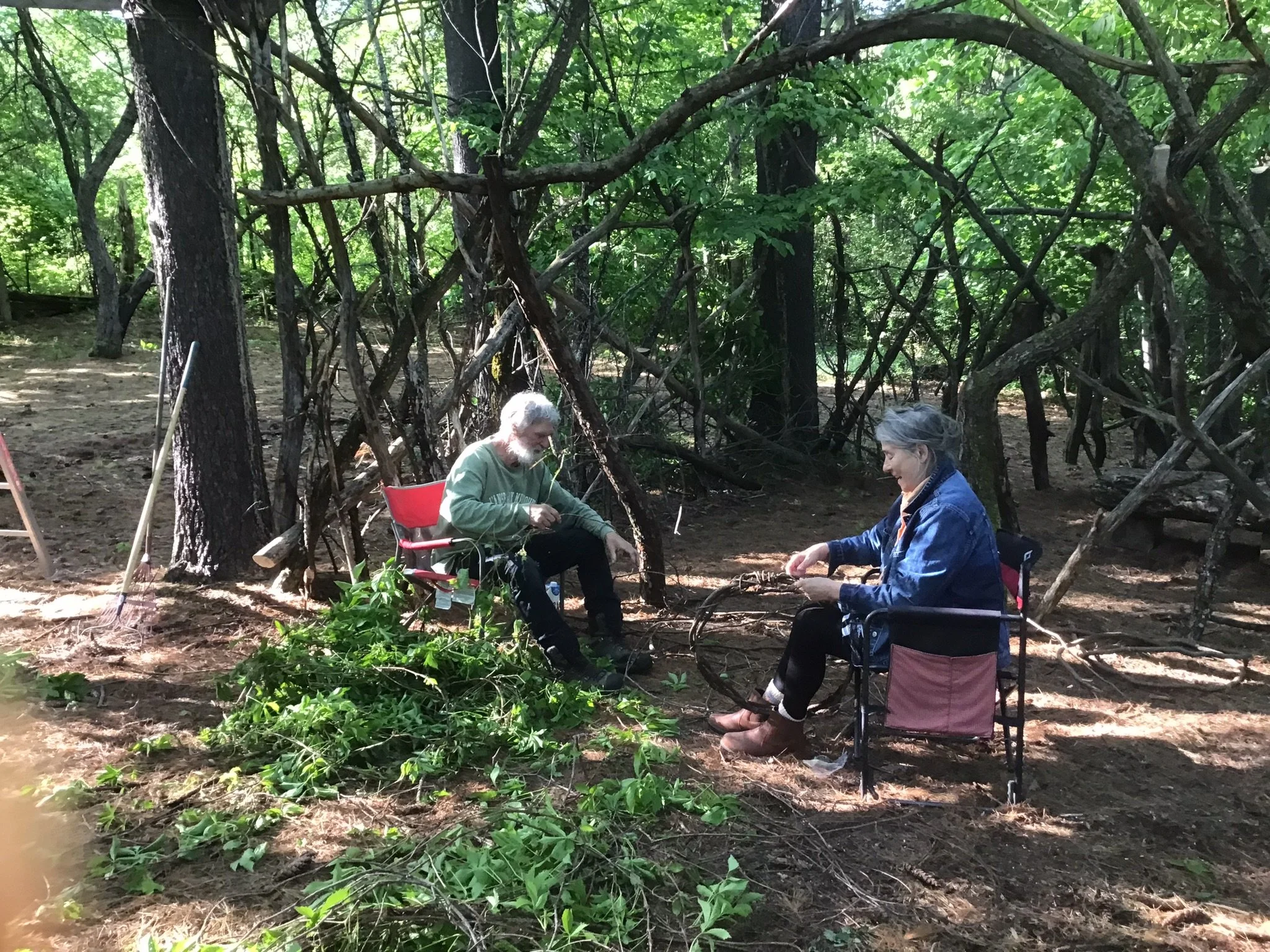 Kiwi weaving vines.JPEG