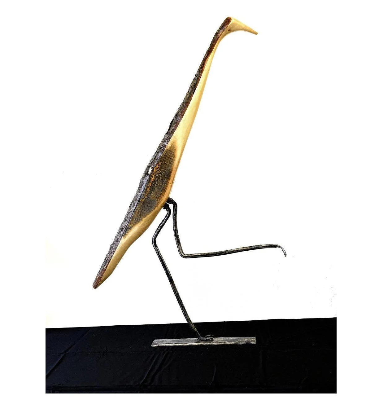 Shane Belanger 5crop.jpg