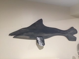 shark 3 .JPG