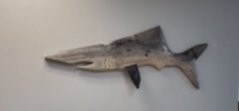 shark 2 .jpg