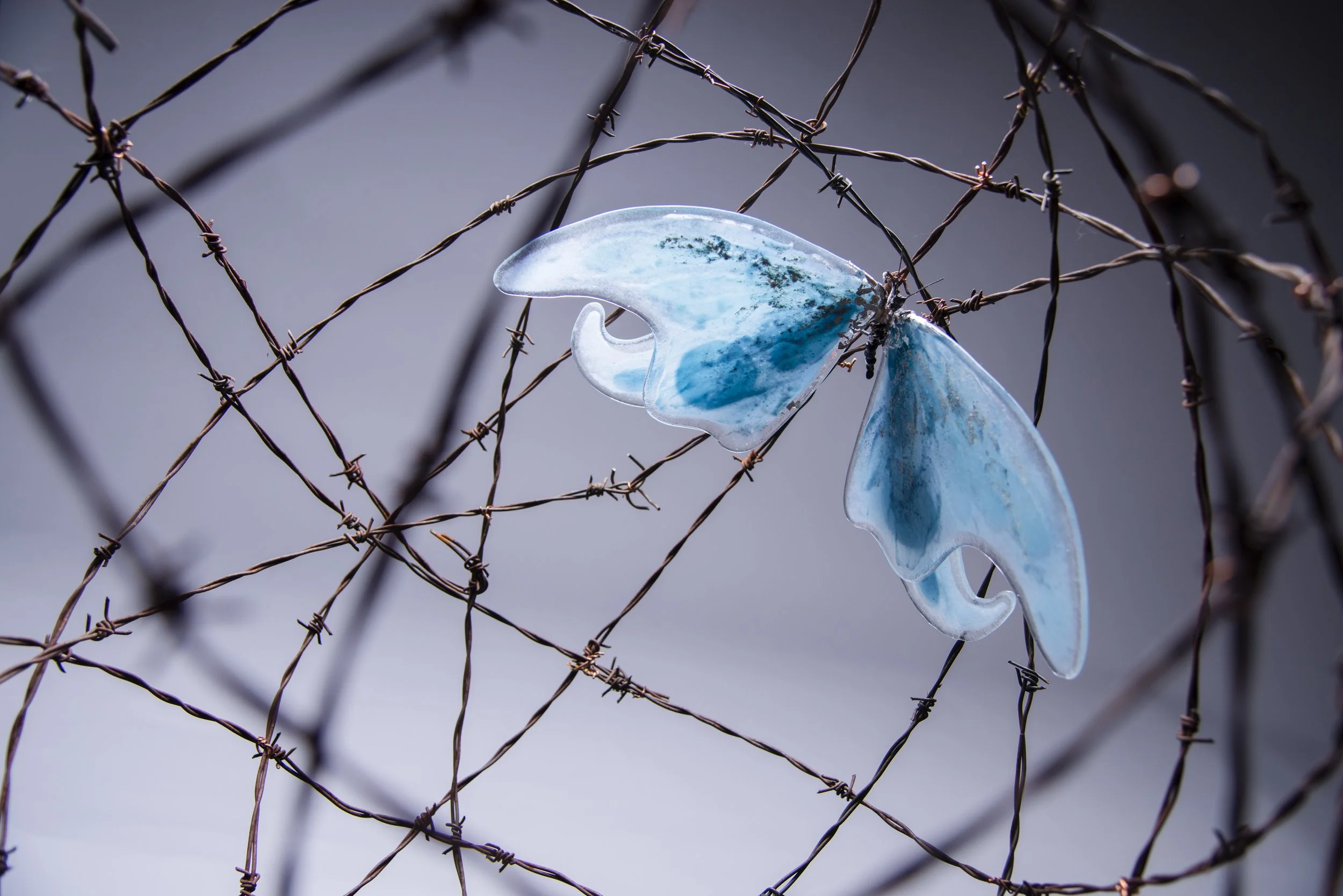 Jennifer Kelly Butterflies PTR_1759.jpg