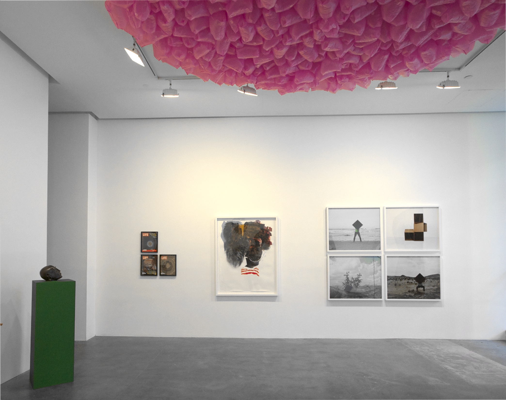 AMERICAN BEAUTY_Installation View (2).jpg