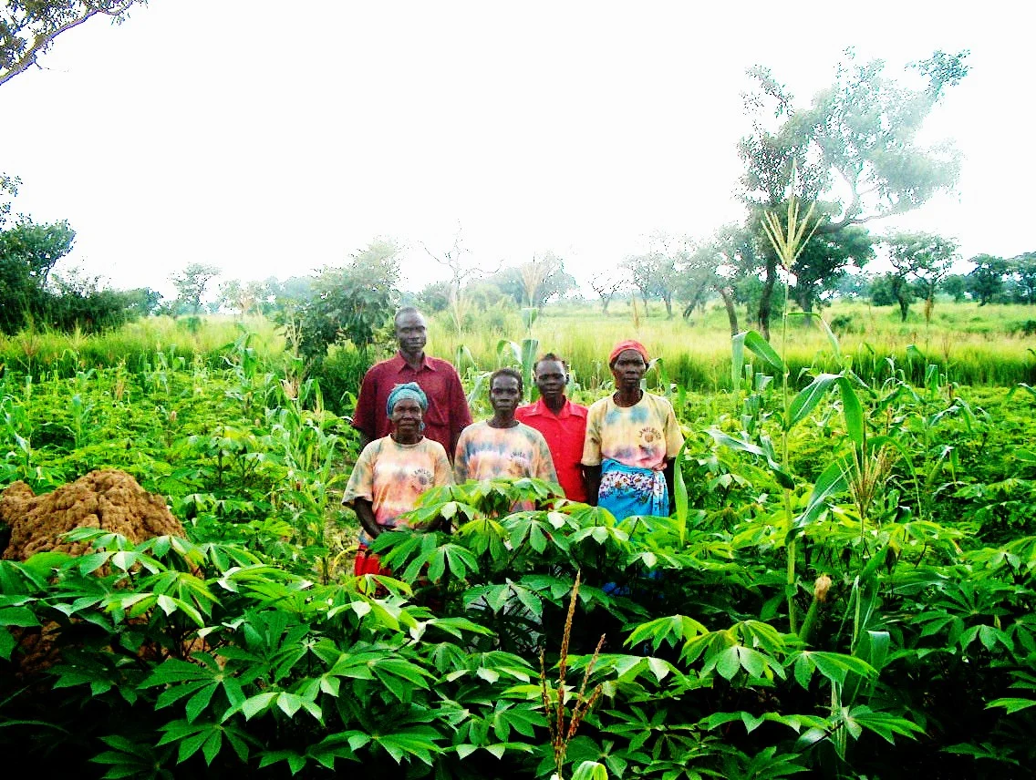 Widows in the garden .JPG
