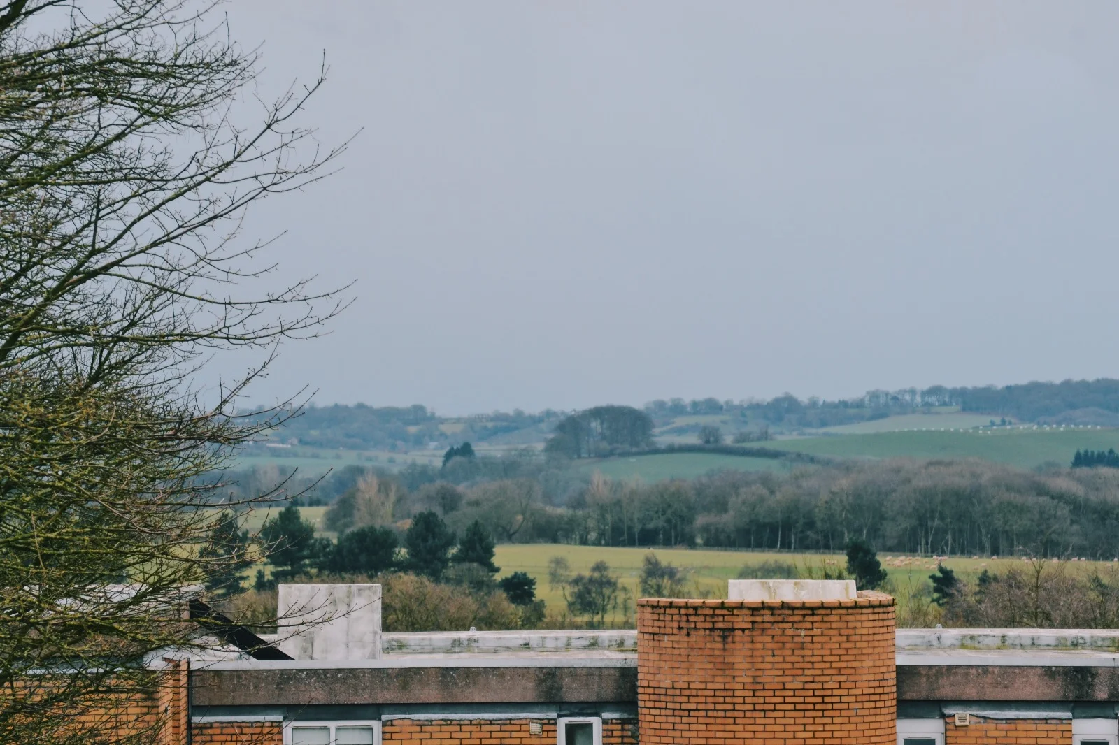 Fokuslaiset vaihdossa: Raatikaisen reissublogi - osa 2