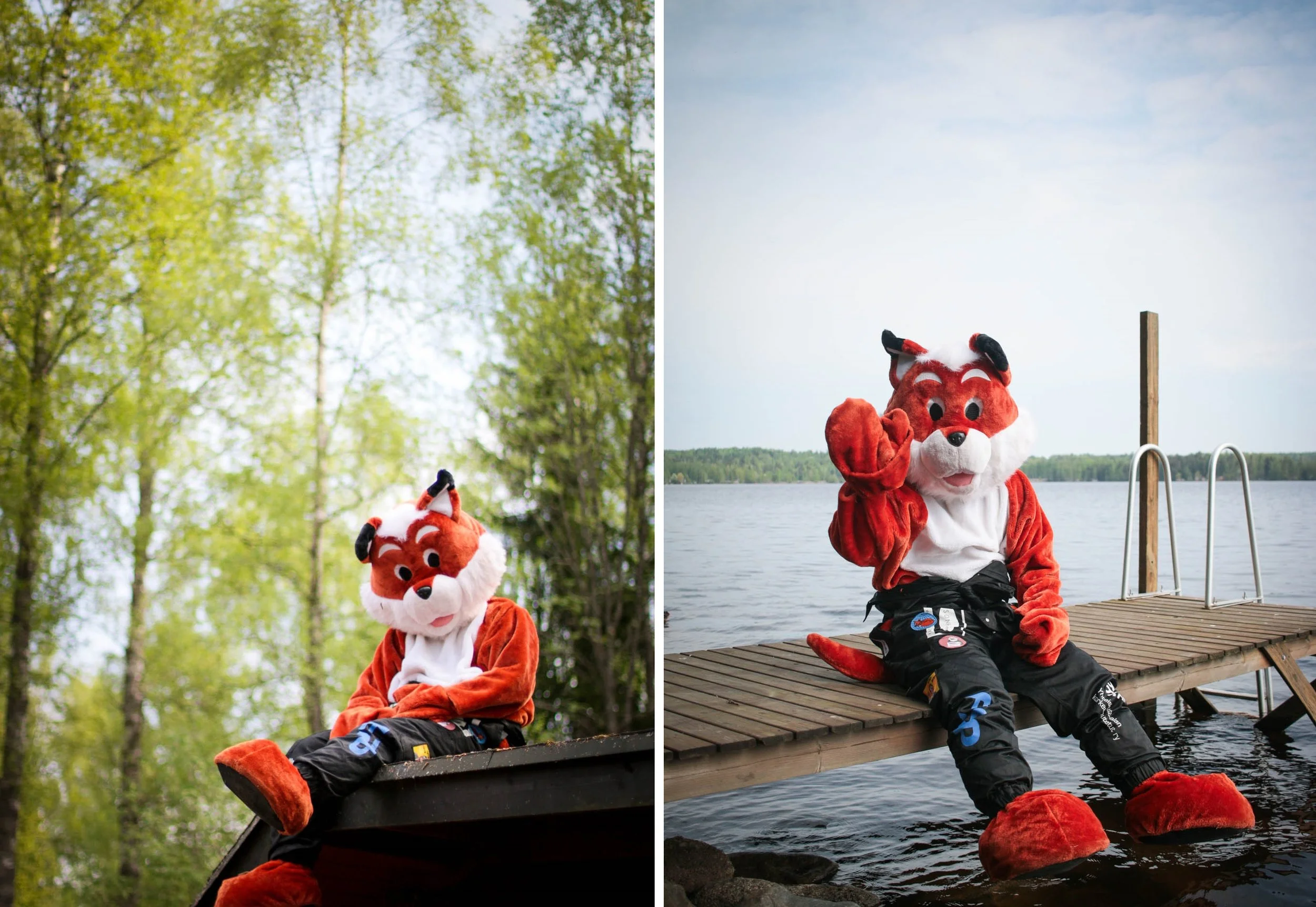 sirfoxalot.jpg