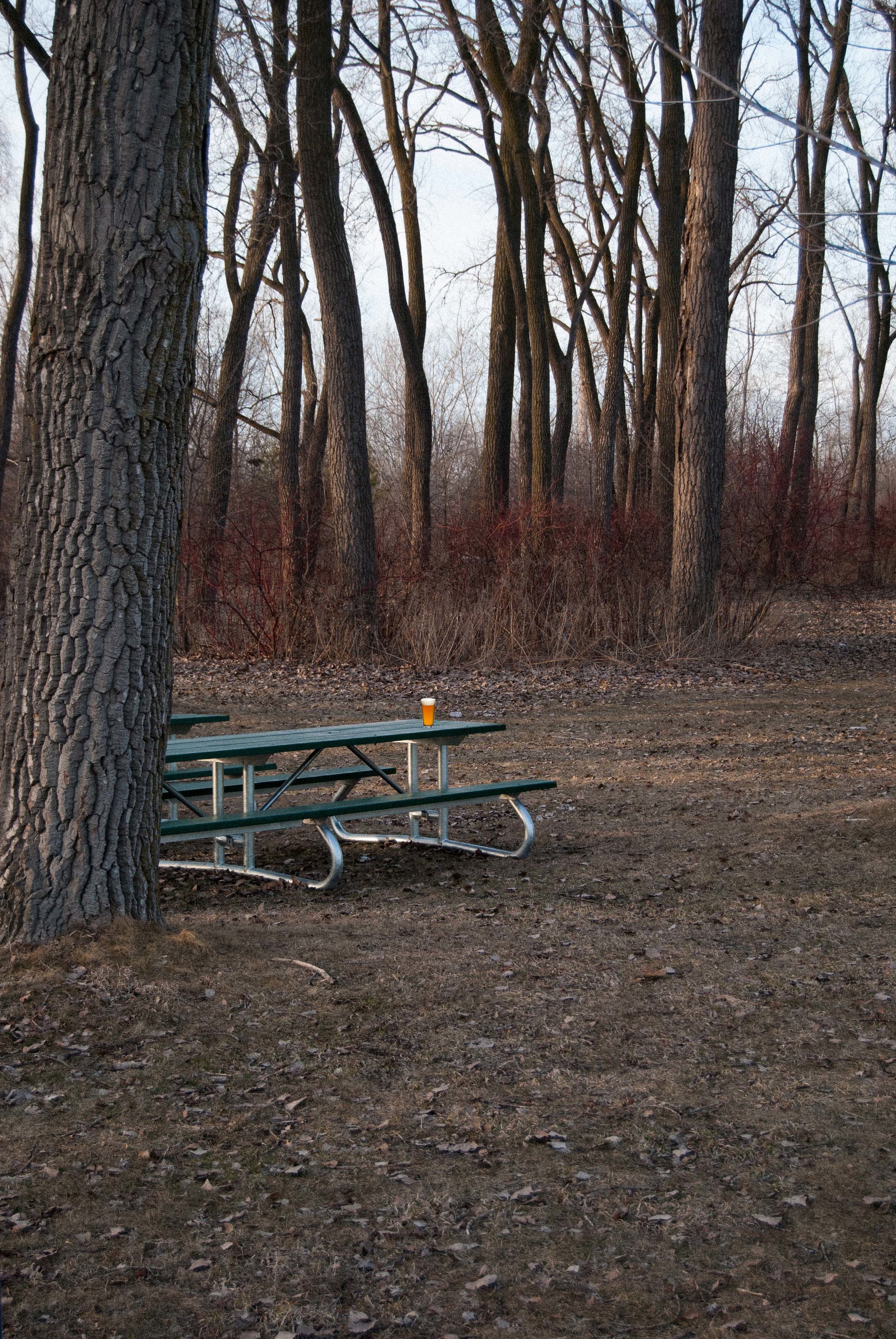 The Lonely Pint