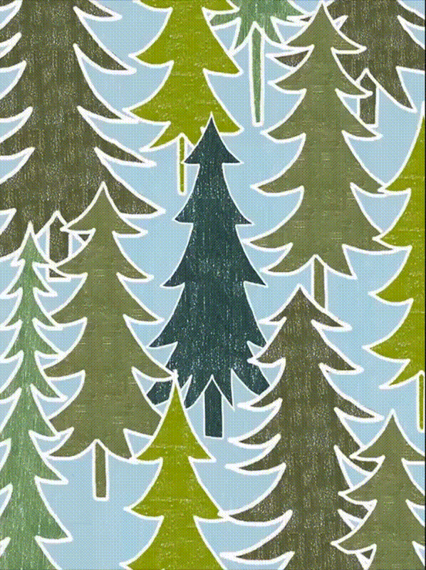 'Should majestic old trees be cut down for city holiday displays?'