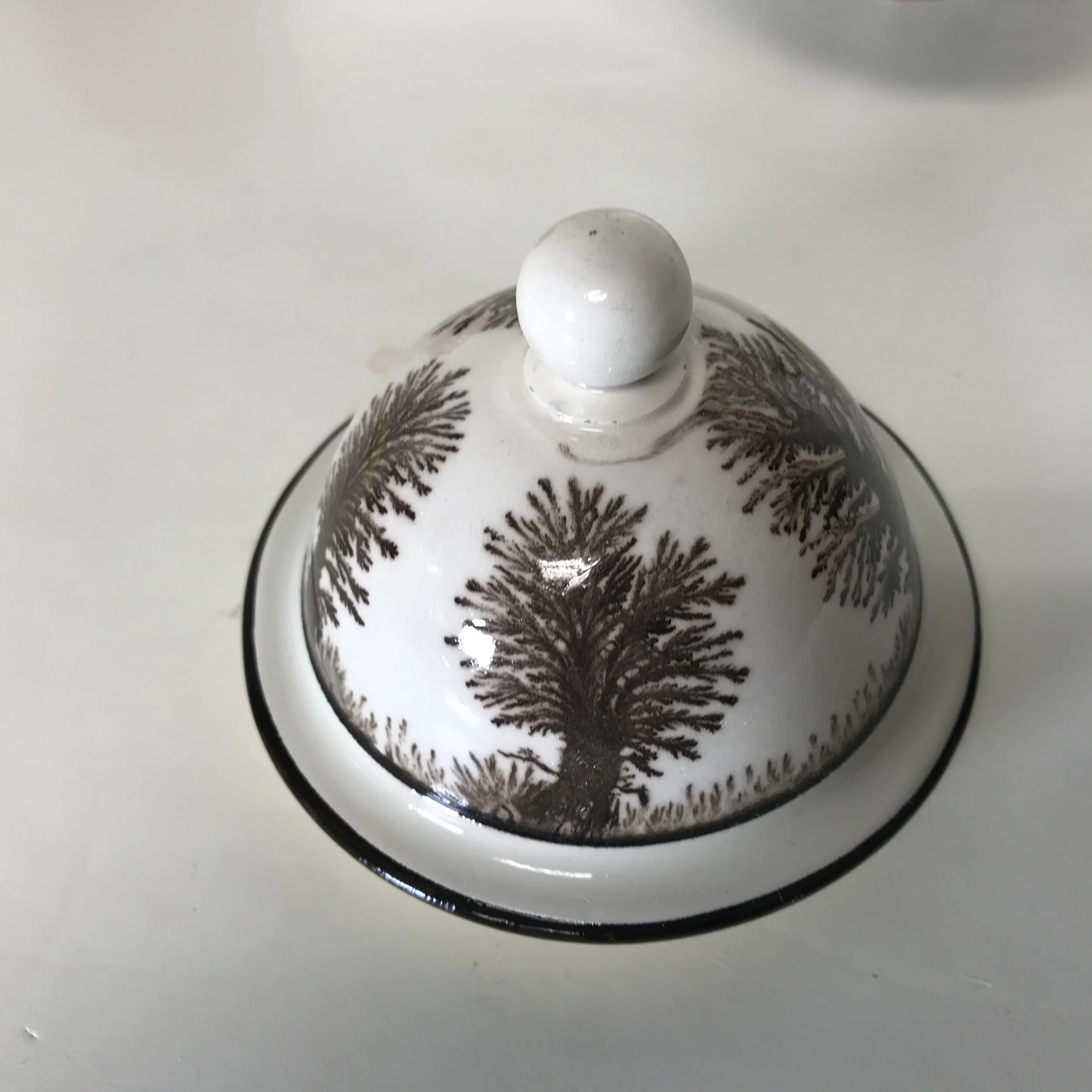 IMG_7310.JPG