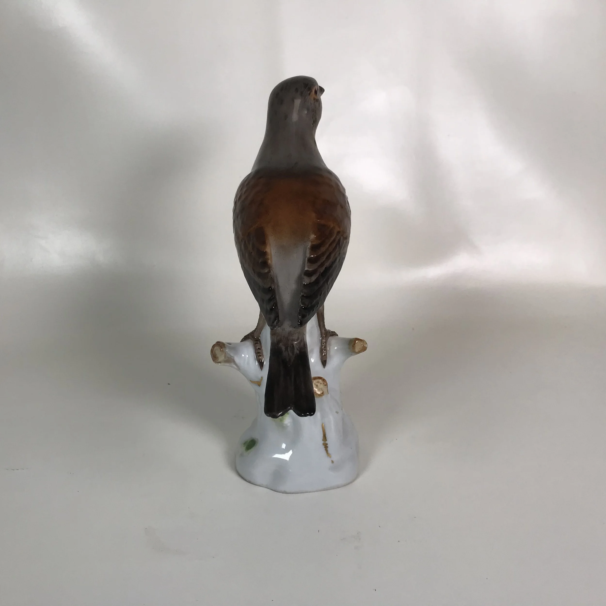 Meissen Porcelain Figure of Wood Thrush Bird — Ardesh
