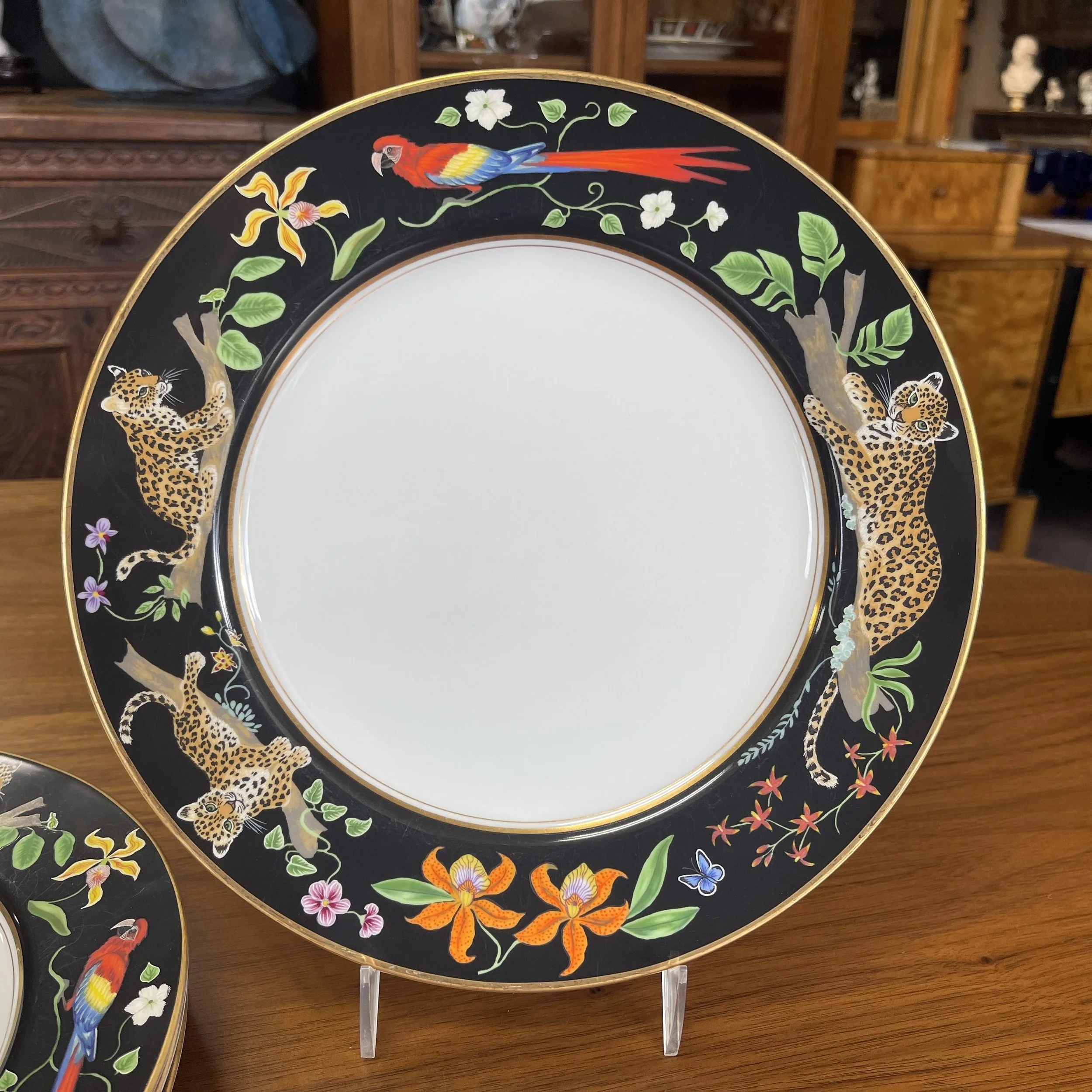 リンチェイス　ジャガージャングル Amazon.com | JAGUAR JUNGLE SALAD/DESSERT: Salad Plates
