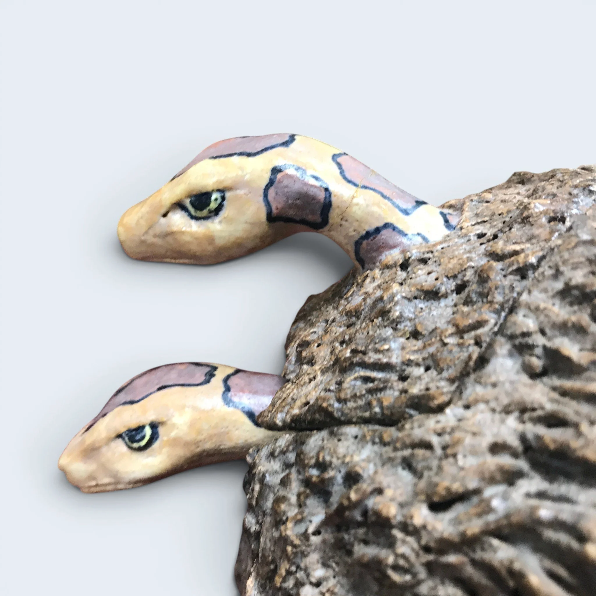 IMG_8045.jpg