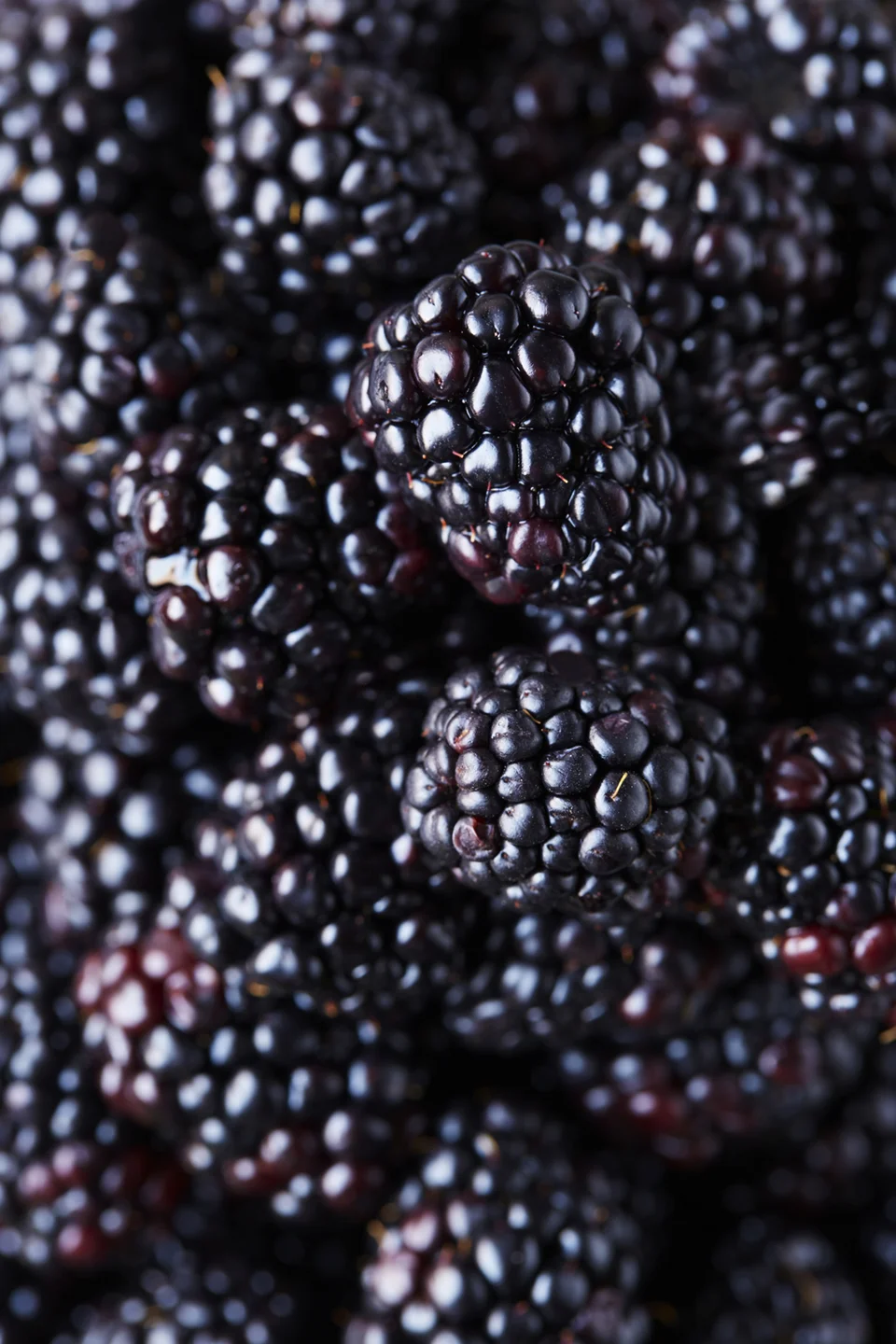 blackberry.jpg