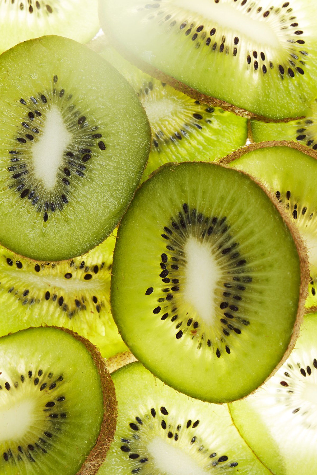 Kiwi_vertical.jpg