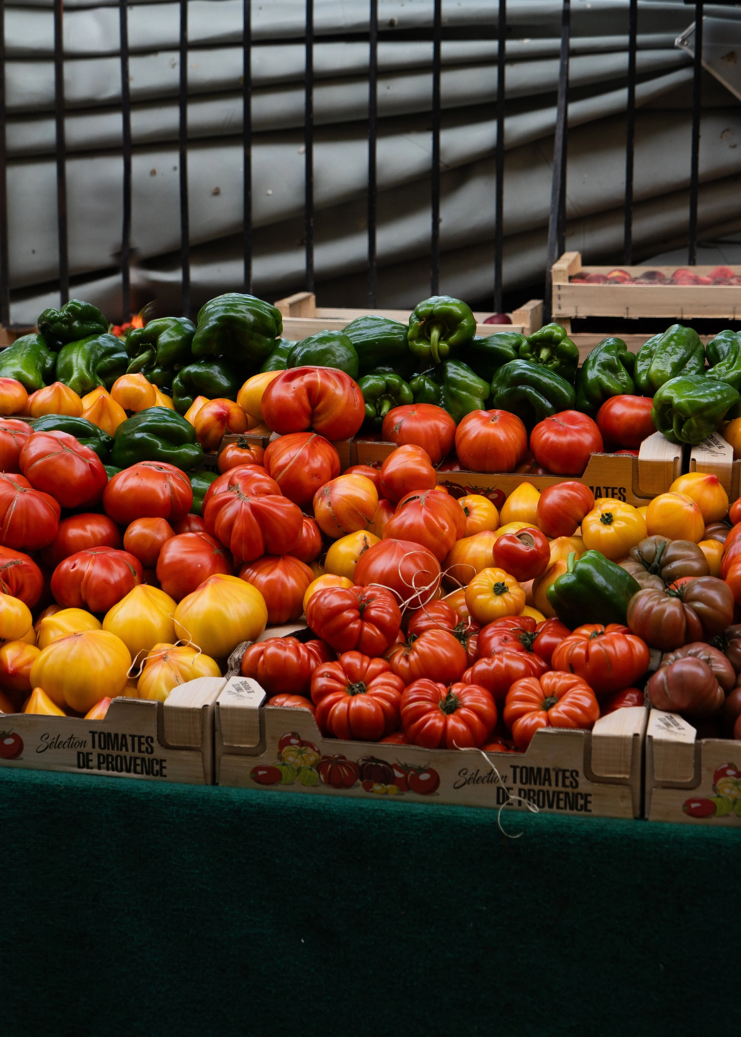 tomatoes_provence_june2025.jpg